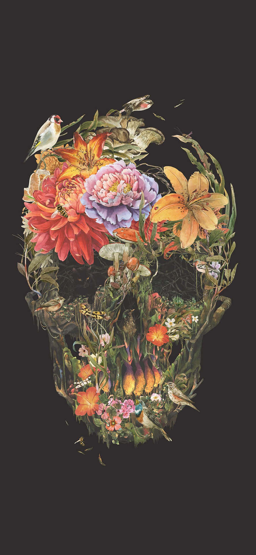  壁紙 — 一個人類頭骨，在深色背景上精細地填滿了鮮豔的花朵、鳥類和樹葉。