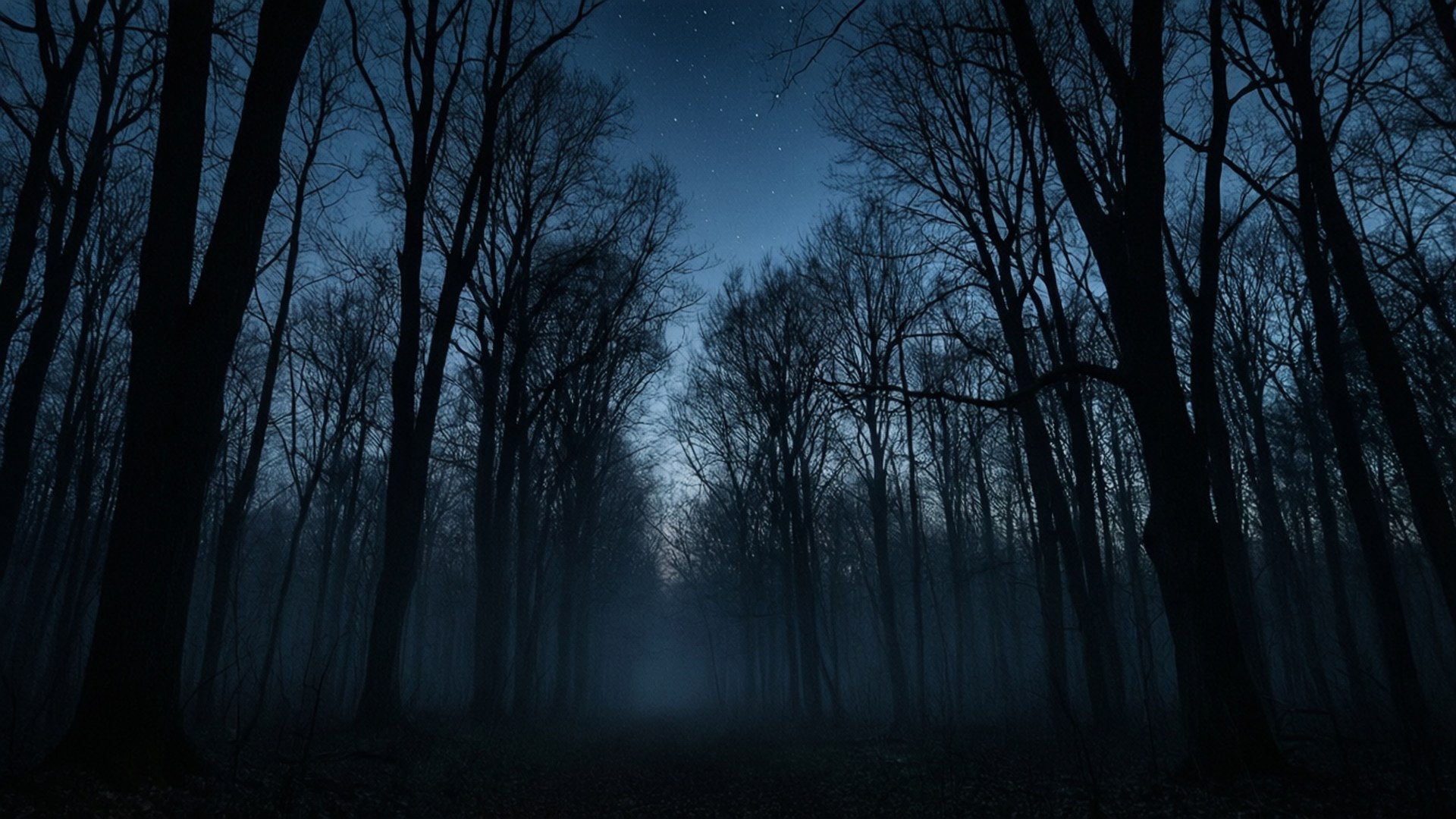 Twilight Grove 壁紙 — 一個霧氣瀰漫的夜晚森林，光禿禿的樹木在繁星點點的深藍色天空下形成剪影。
