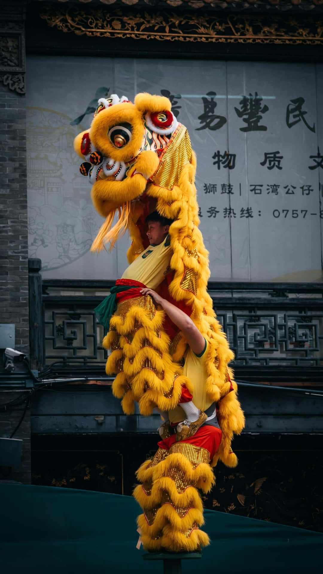  壁紙 — 一個鮮黃色的舞獅服裝，由兩位舞者在傳統中式建築外牆前表演。