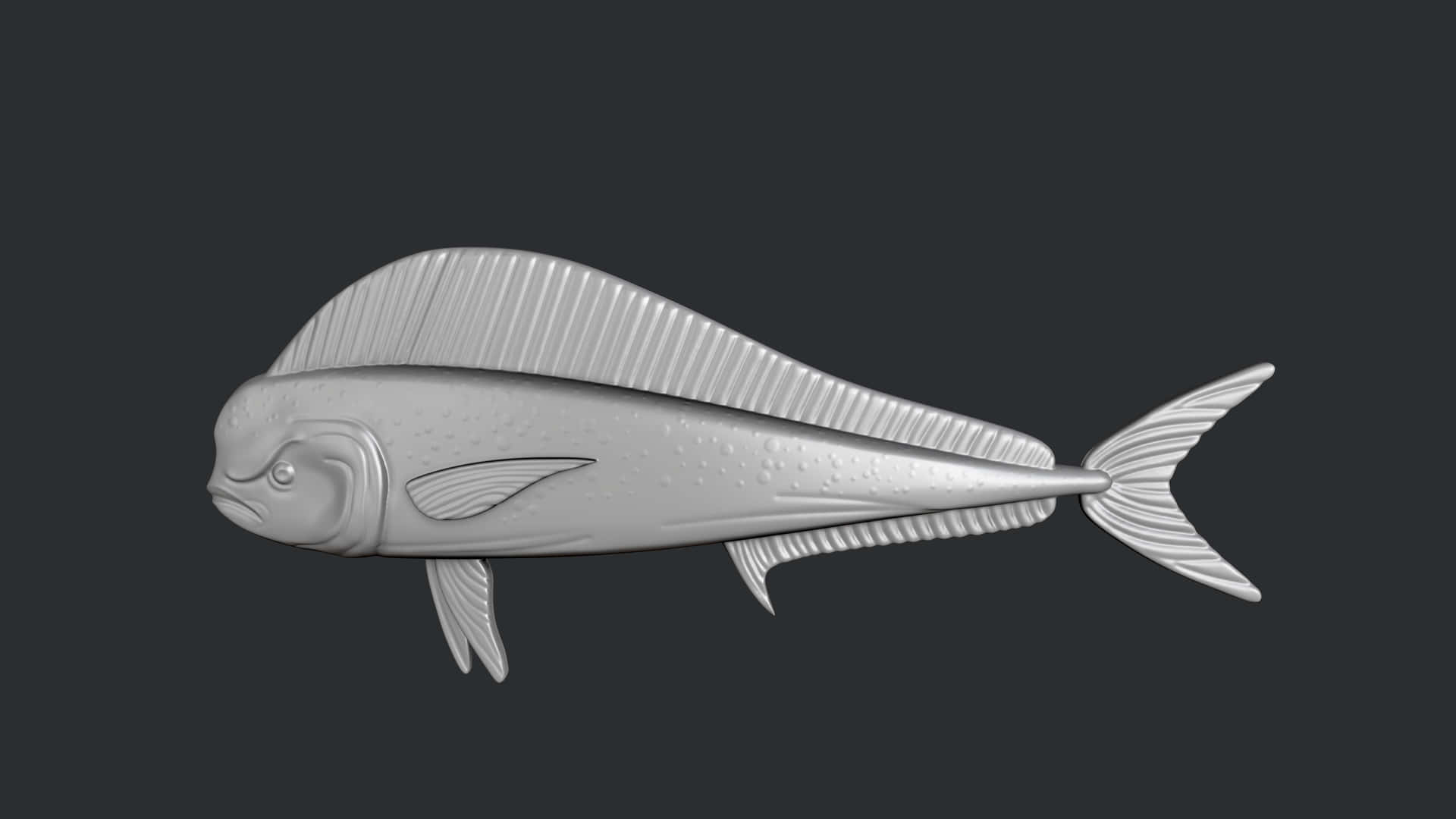  壁紙 — 一個詳細的3D渲染魚模型，帶有紋理鱗片和魚鰭，背景為深灰色。