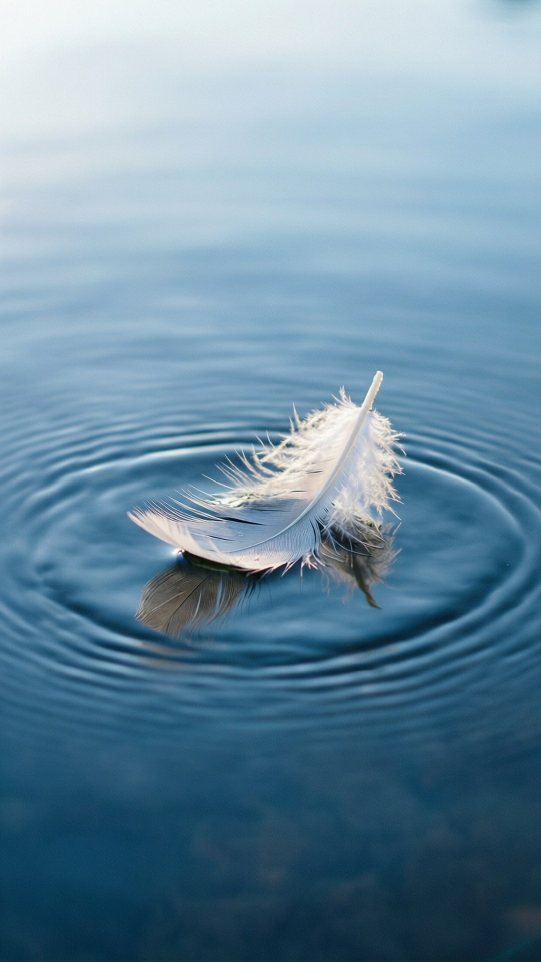Feather on Water 壁紙 — 一根白色羽毛靜靜地漂浮在平靜的藍色水面上，形成柔和的同心漣漪。