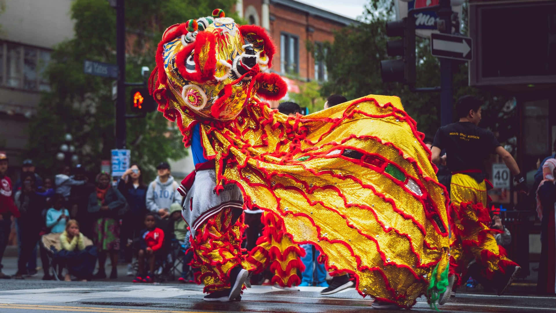  壁紙 — 一件充滿活力的金色和紅色舞獅服裝在潮濕的城市街道上充滿活力地表演，觀眾從人行道上觀看。
