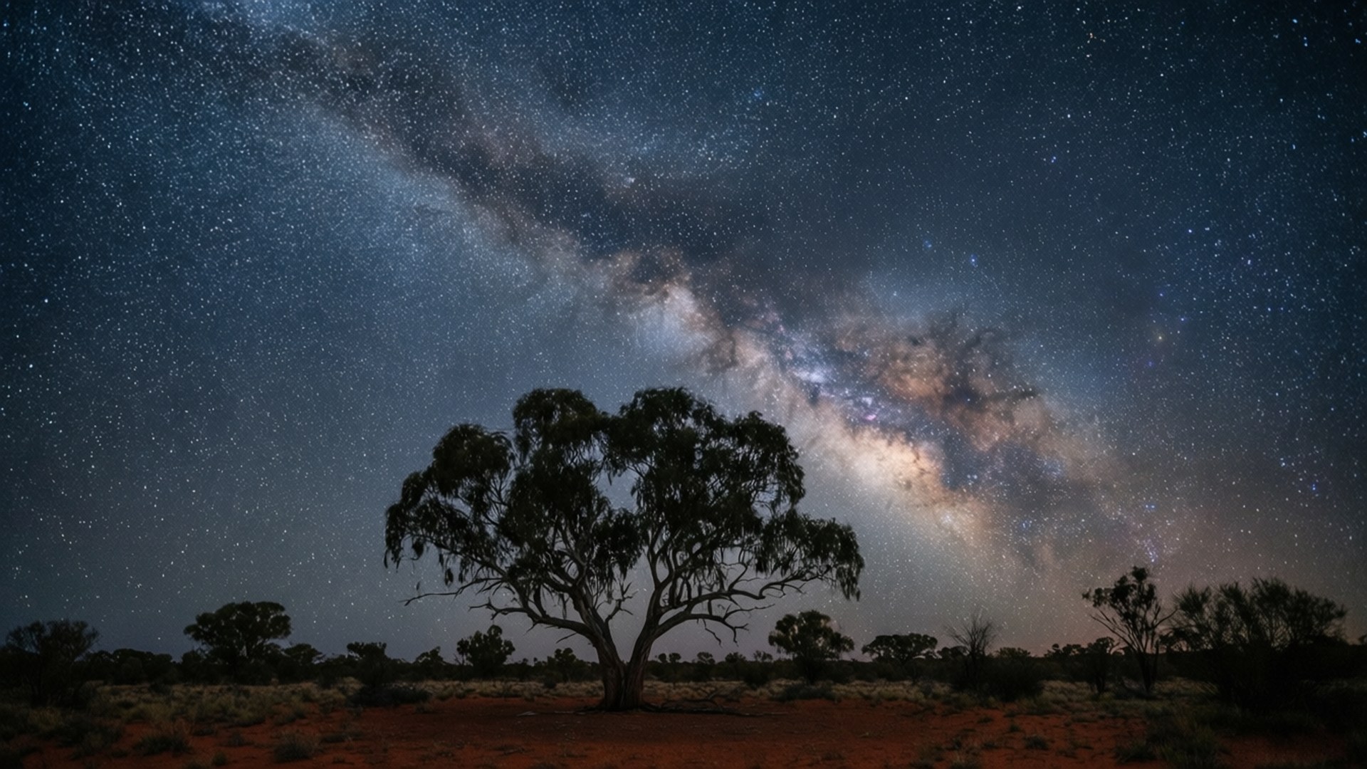 Outback Milky Way 壁紙 — 一棵孤獨的剪影樹矗立在沙漠中，上方是壯麗的星空，銀河拱橋般橫跨天際。