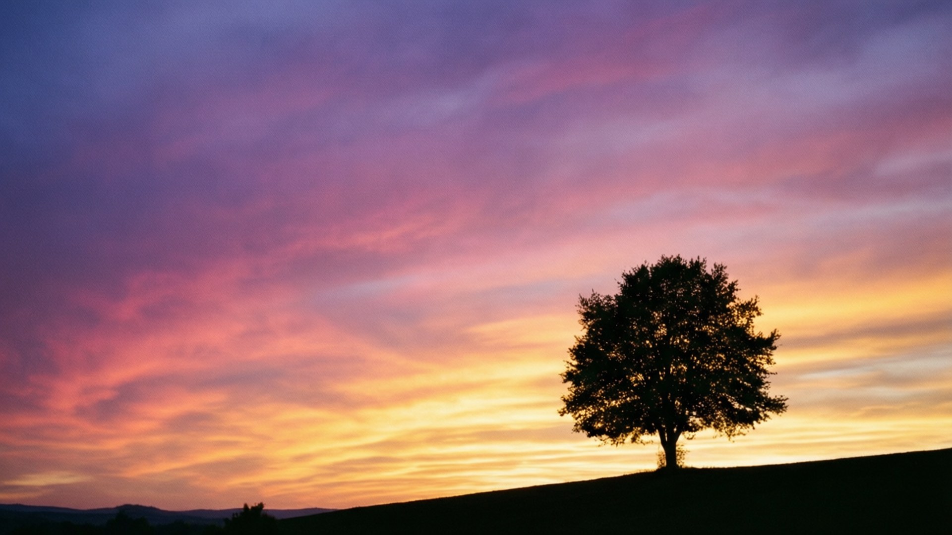 Lone Tree Sunset 壁紙 — 一棵孤獨的樹的剪影矗立在山丘上，背景是充滿活力的日落天空，塗有紫色、粉紅色和金色色調。