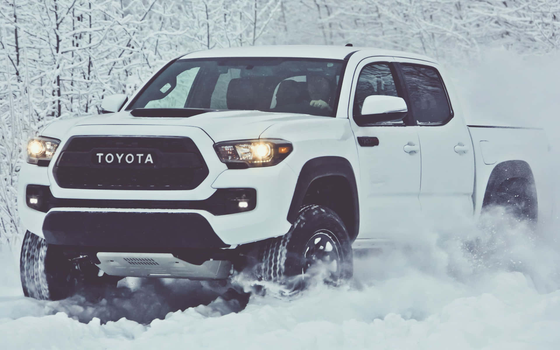 白色豐田Tacoma卡車在冬季森林的深雪中行駛。 — Toyota Supra 壁紙