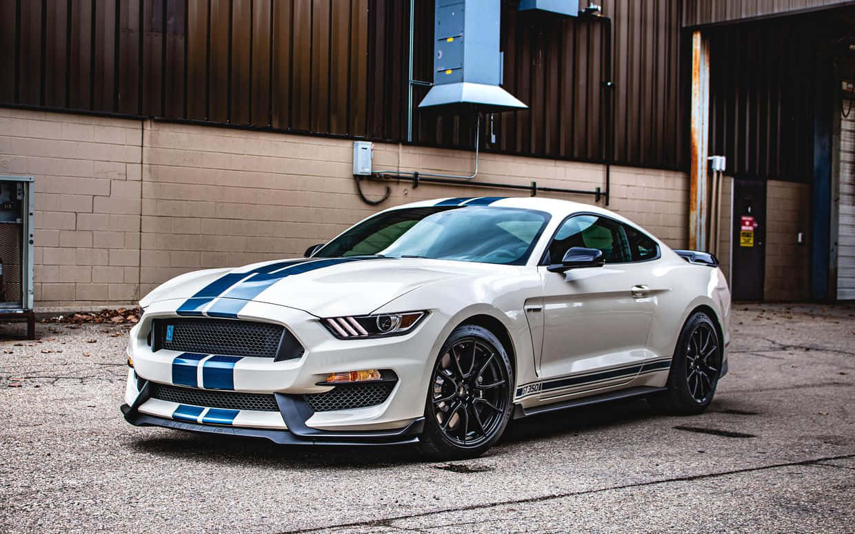 Ford Mustang California Special 桌布 壁紙 — 一輛白色福特野馬Shelby GT350R帶有藍色賽車條紋，停在倉庫前的礫石上。