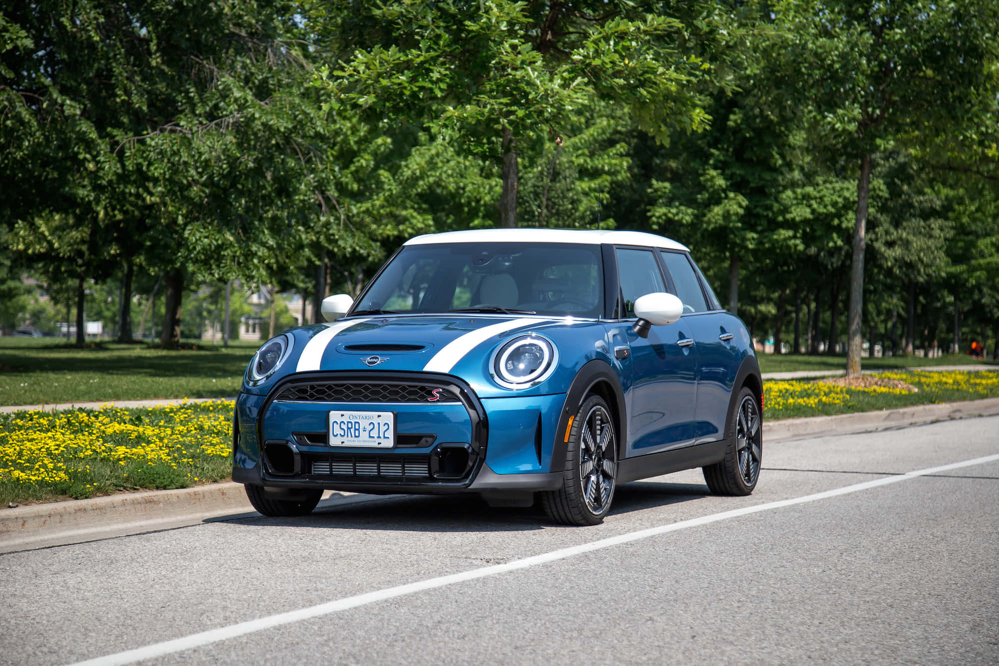 Mini Cooper S 桌布 壁紙 — 一輛充滿活力的藍色MINI Cooper，白色車頂和賽車條紋，行駛在黃色花朵旁的林蔭大道上。