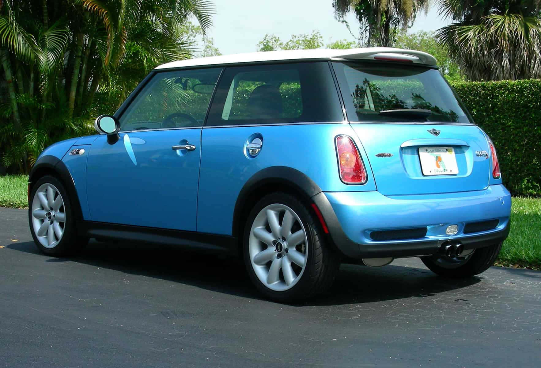 Mini Cooper S 桌布 壁紙 — 一輛充滿活力的藍色Mini Cooper停在瀝青路上，背景有茂密的綠色棕櫚樹和樹籬，在明亮的日光下。