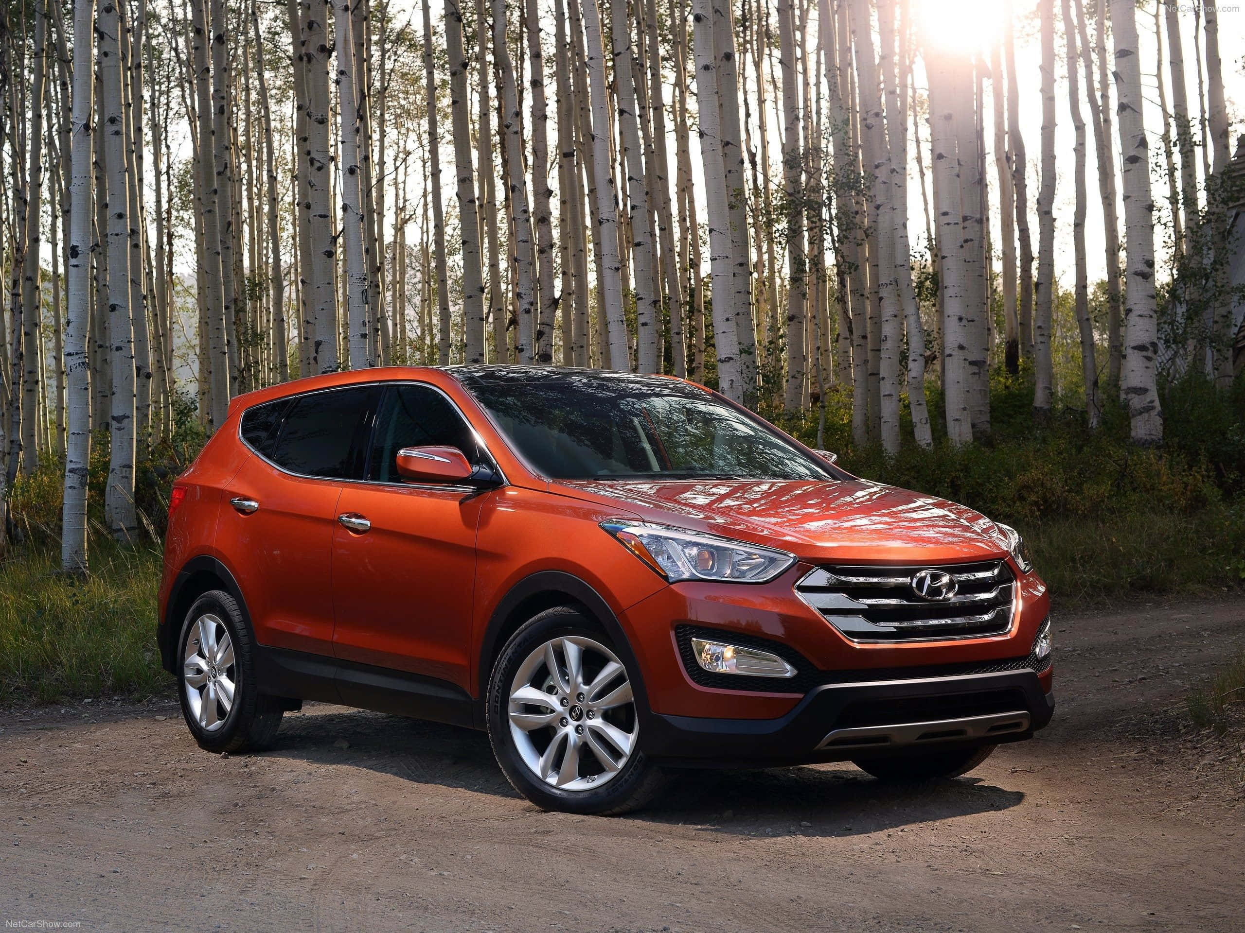 Hyundai Santa Fe 桌布 壁紙 — 一輛充滿活力的橙色Hyundai Santa Fe SUV停泊在一條被高大白楊樹包圍的泥路上，陽光穿過樹葉灑落。