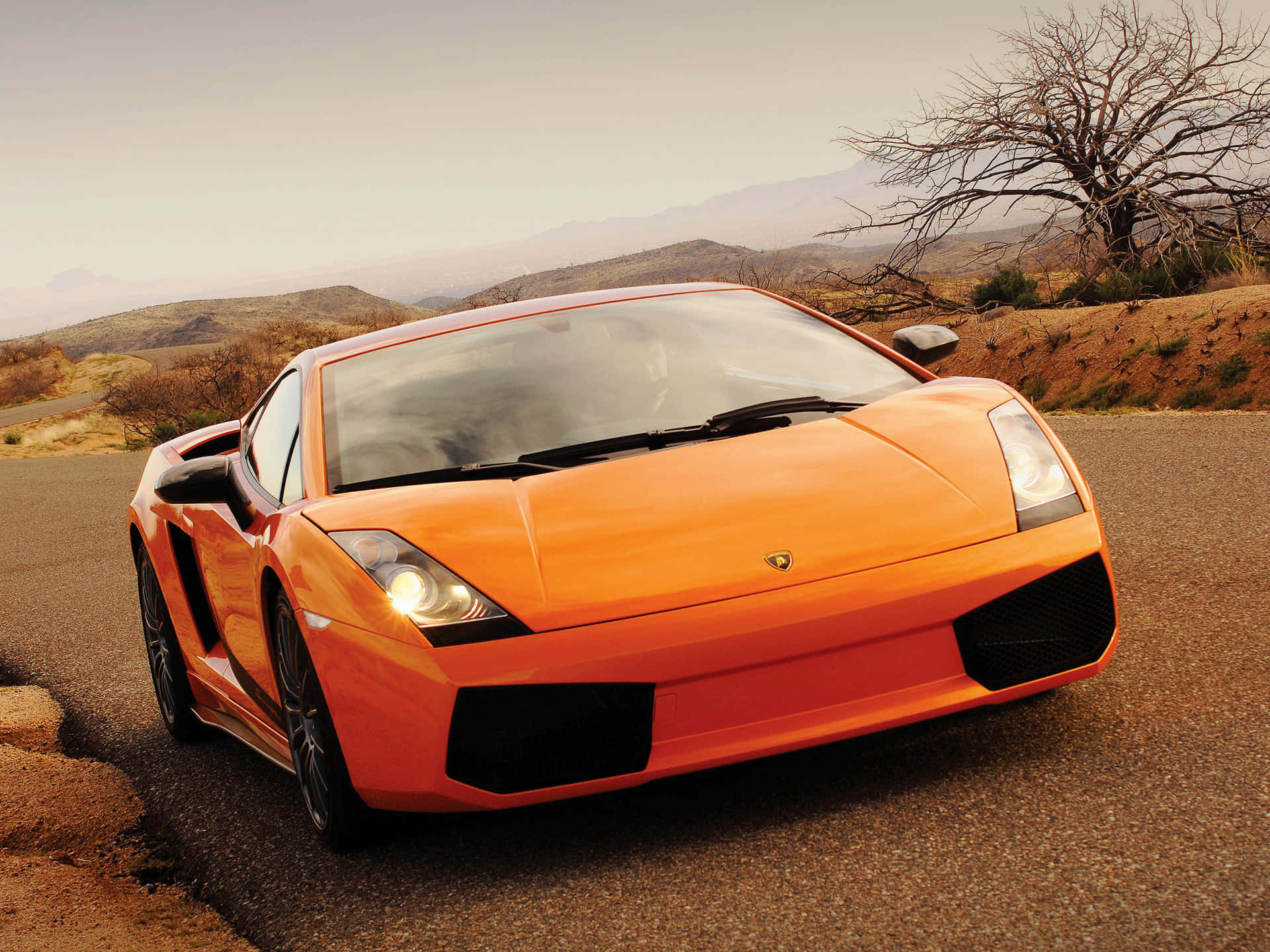 Lamborghini Gallardo 桌布 壁紙 — 一輛充滿活力的橙色藍寶堅尼Gallardo跑車停在沙漠公路上，背景有山脈和一棵光禿禿的樹。