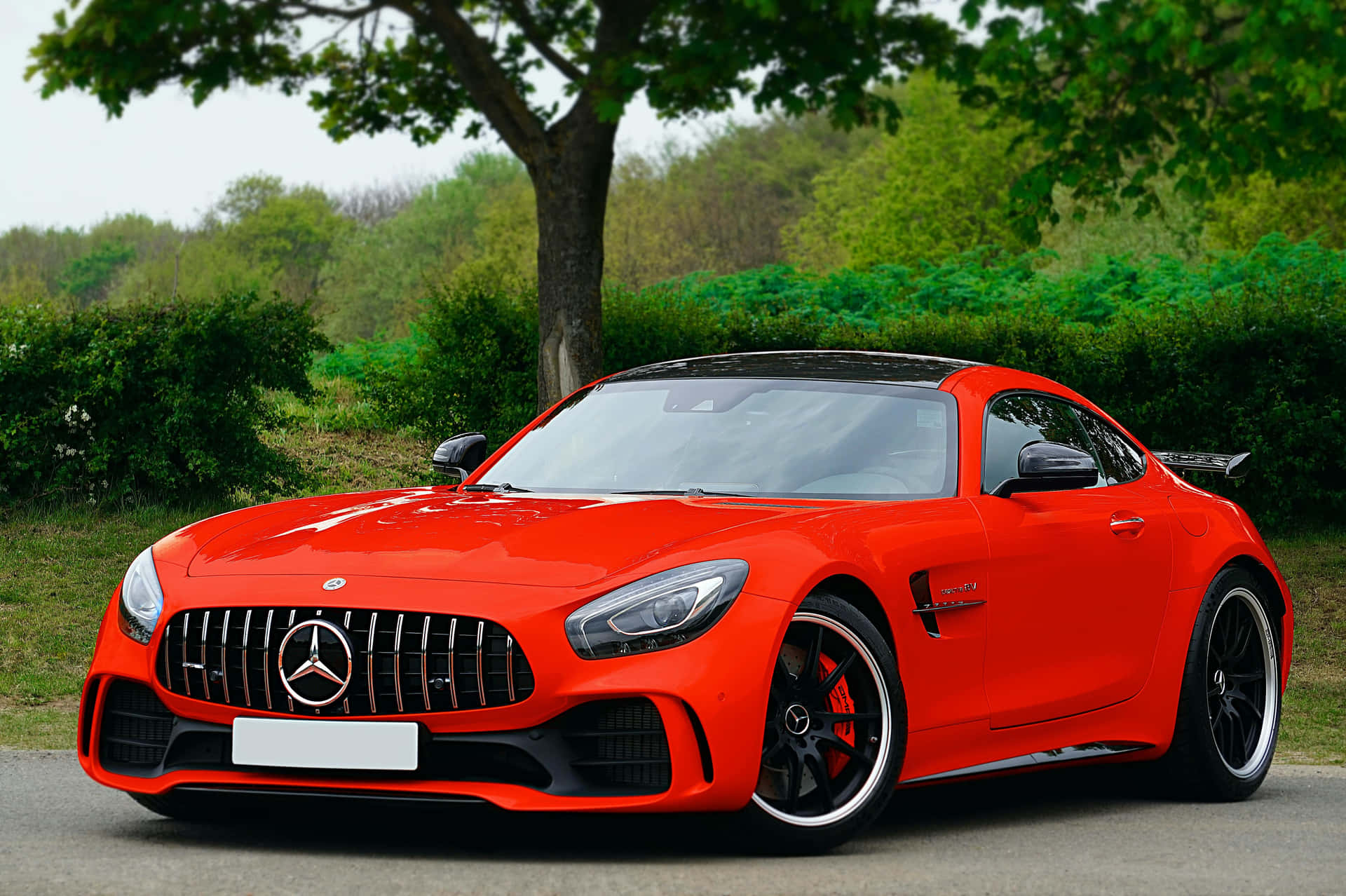  壁紙 — 一輛充滿活力的紅色 Mercedes-AMG GT 跑車停放在一棵枝葉茂密的樹下，背景是鬱鬱蔥蔥的綠色灌木叢。