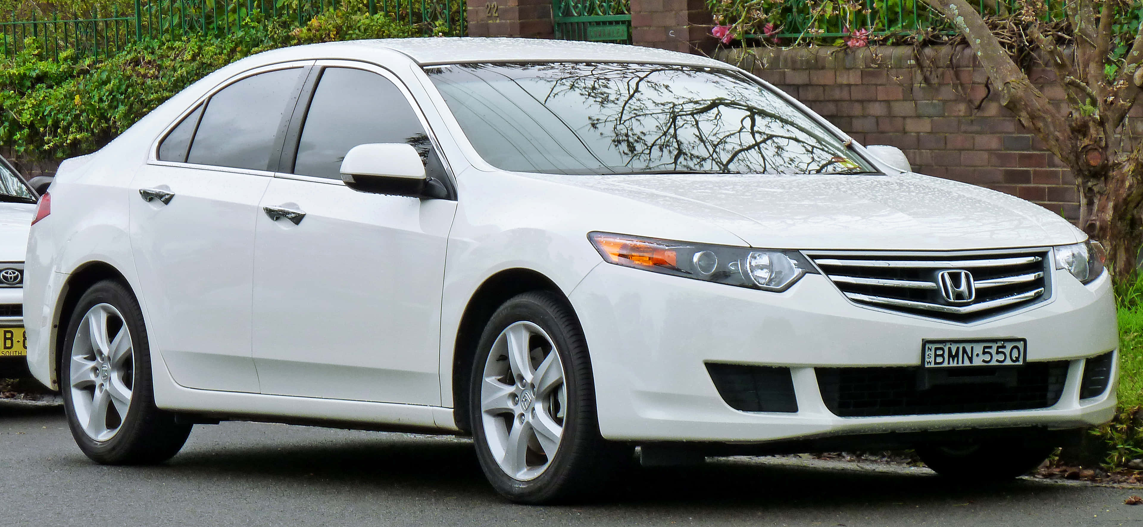 Honda Accord 桌布 壁紙 — 一輛純白色本田雅閣轎車停在磚牆和綠化旁的街道上。