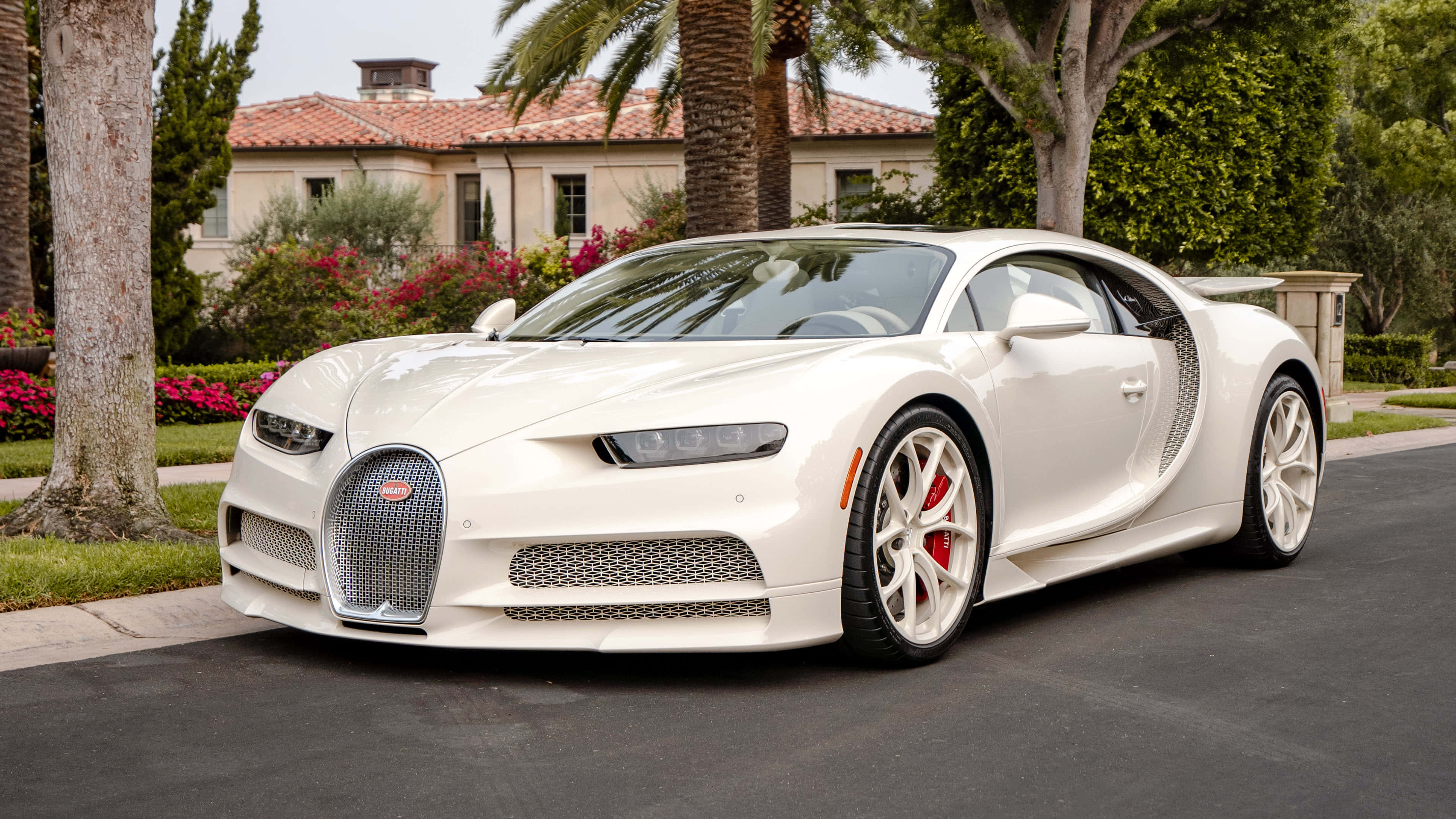 Bugatti Chiron 桌布 壁紙 — 一輛純白色的Bugatti Chiron停泊在棕櫚樹成蔭的街道上，前面是一座灰泥豪宅，屋頂鋪著紅瓦。
