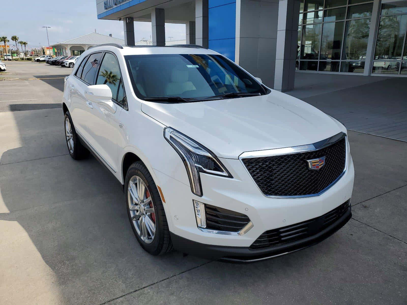 Cadillac Xt5 桌布 壁紙 — 一輛純白色的Cadillac XT5 SUV在明亮的日光下閃閃發光，停放在現代化經銷商外。