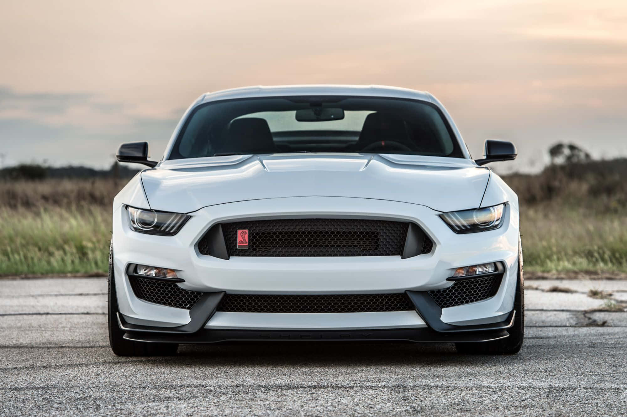 Ford Mustang Shelby Gt350 桌布 壁紙 — 一輛純白色的福特野馬跑車在黃金時段，柔和溫暖的光線下，正面朝前停在裂開的瀝青路上。