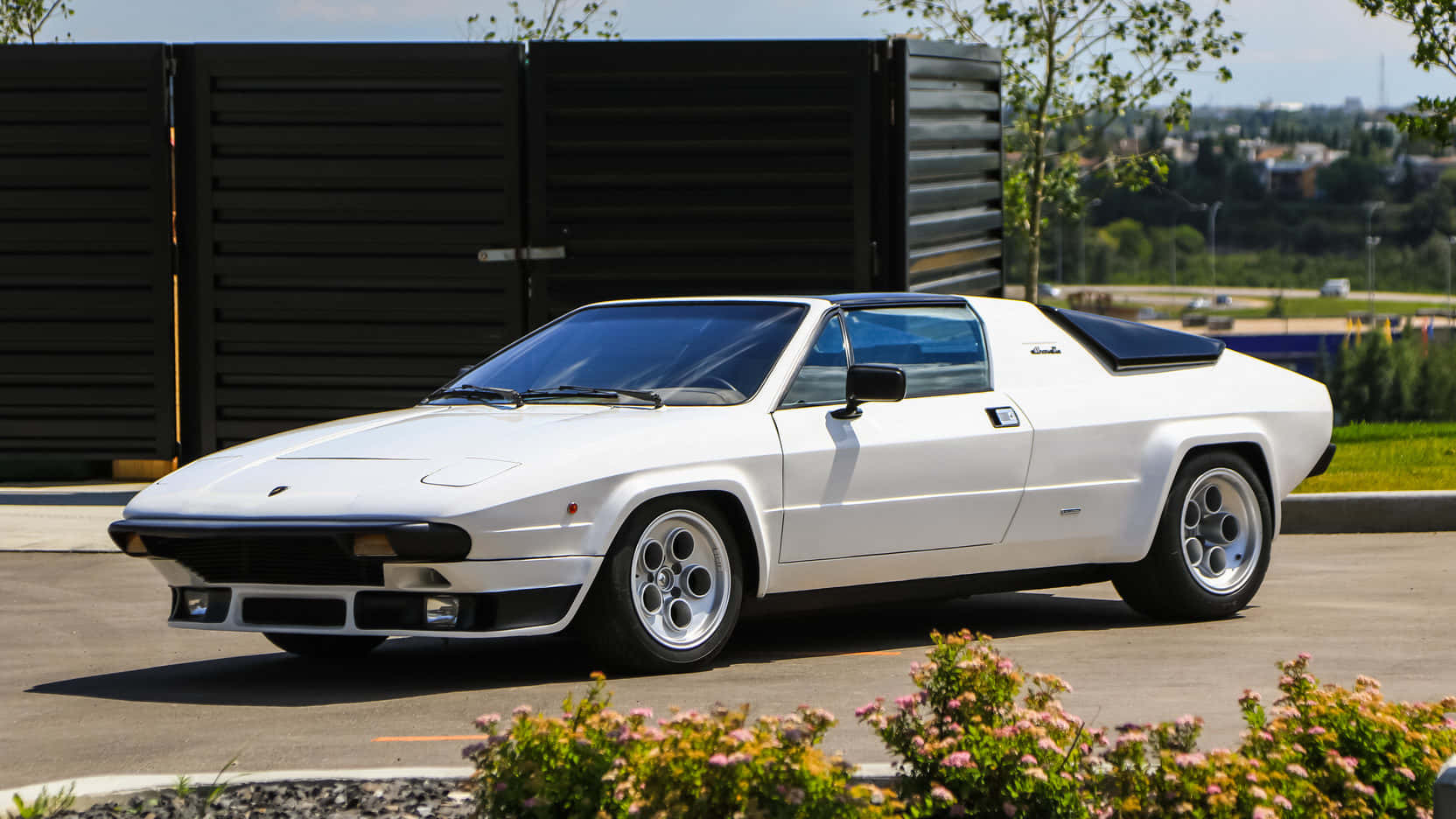 Lamborghini Silhouette 桌布 壁紙 — 一輛純白色藍寶堅尼Countach跑車停放在鋪砌的停車場，背景有綠化植物和黑色圍欄。