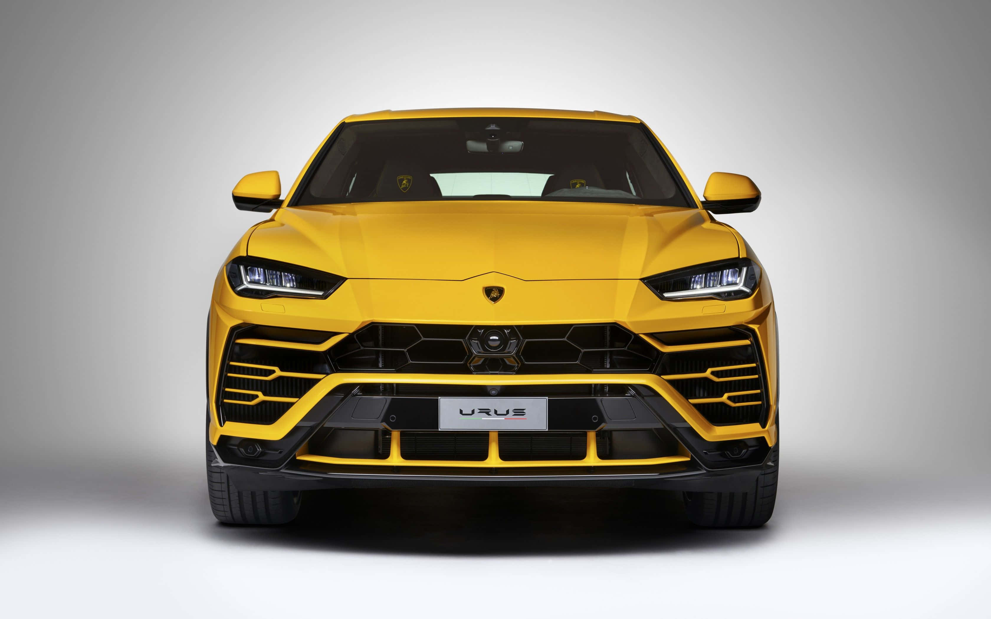 Lamborghini Urus 桌布 壁紙 — 一輛大膽的黃色藍寶堅尼 Urus SUV 配備侵略性棱角頭燈和六邊形水箱護罩，在灰色工作室背景前凝視前方。
