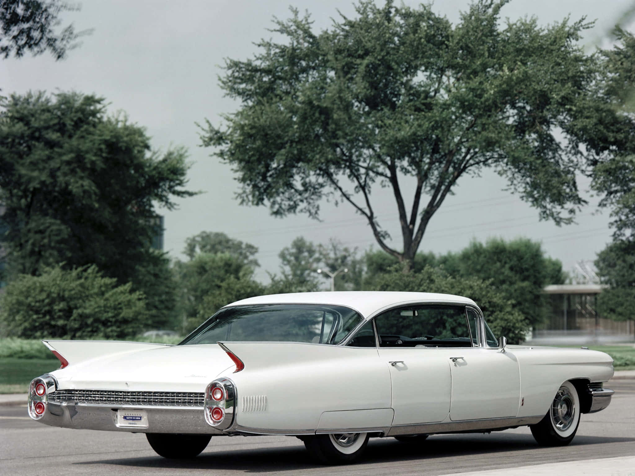 Cadillac Fleetwood 桌布 壁紙 — 一輛帶有尾鰭的純白色1959年凱迪拉克，停泊在樹蔭街道上，天空多雲。