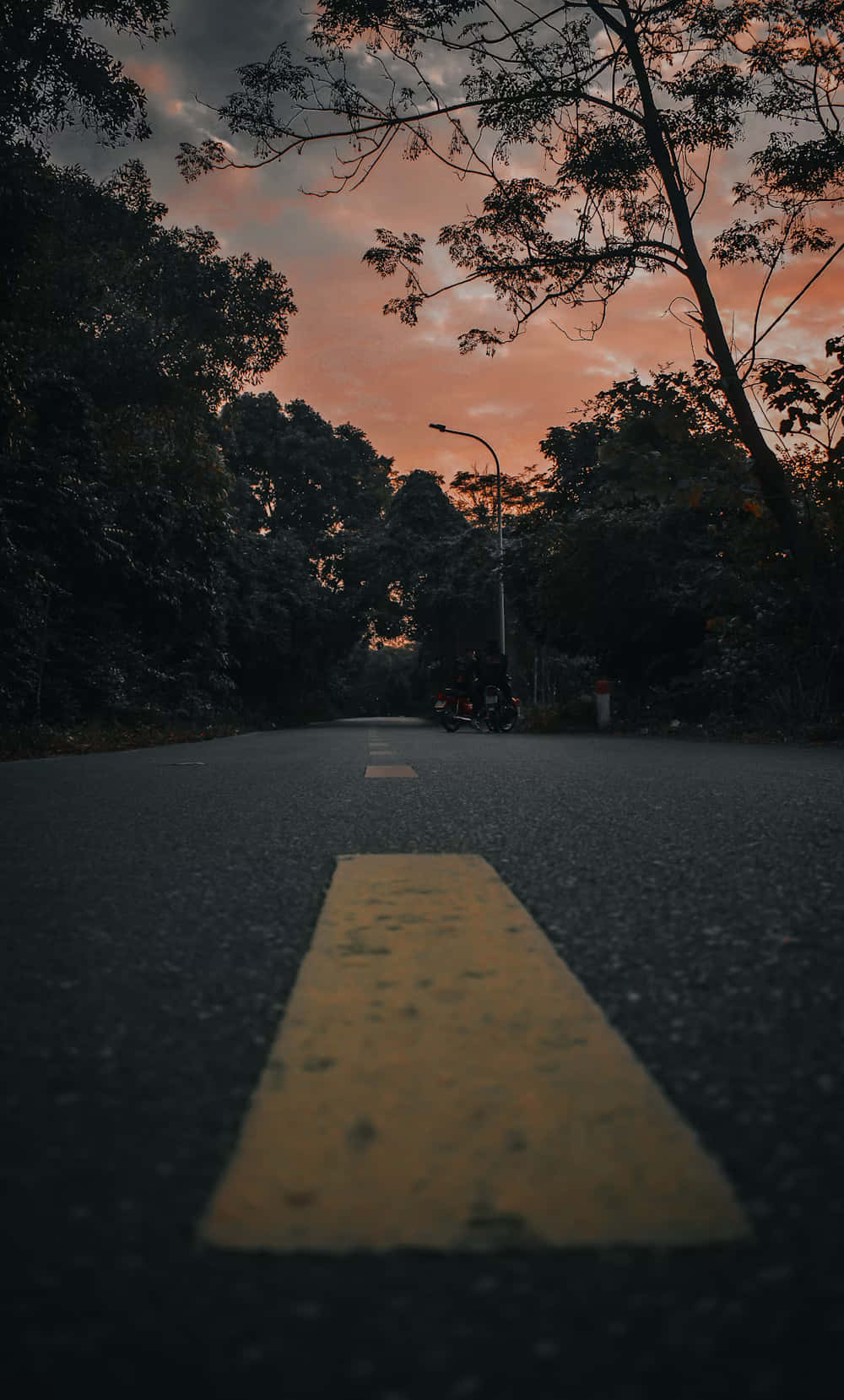 壁紙 — 一輛孤獨的摩托車在黃昏時分沿著一條寧靜的柏油路行駛，兩旁是黑暗的樹木和火紅色的天空。