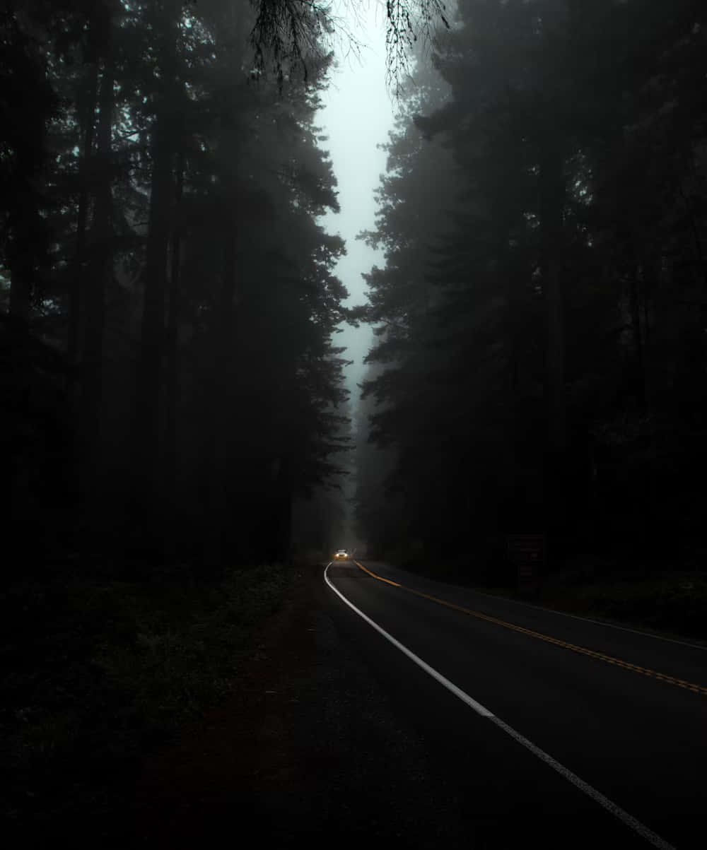  壁紙 — 一輛孤獨的汽車車頭燈穿透濃霧，行駛在一條蜿蜒的森林道路上，兩旁是高聳的暗色樹木。