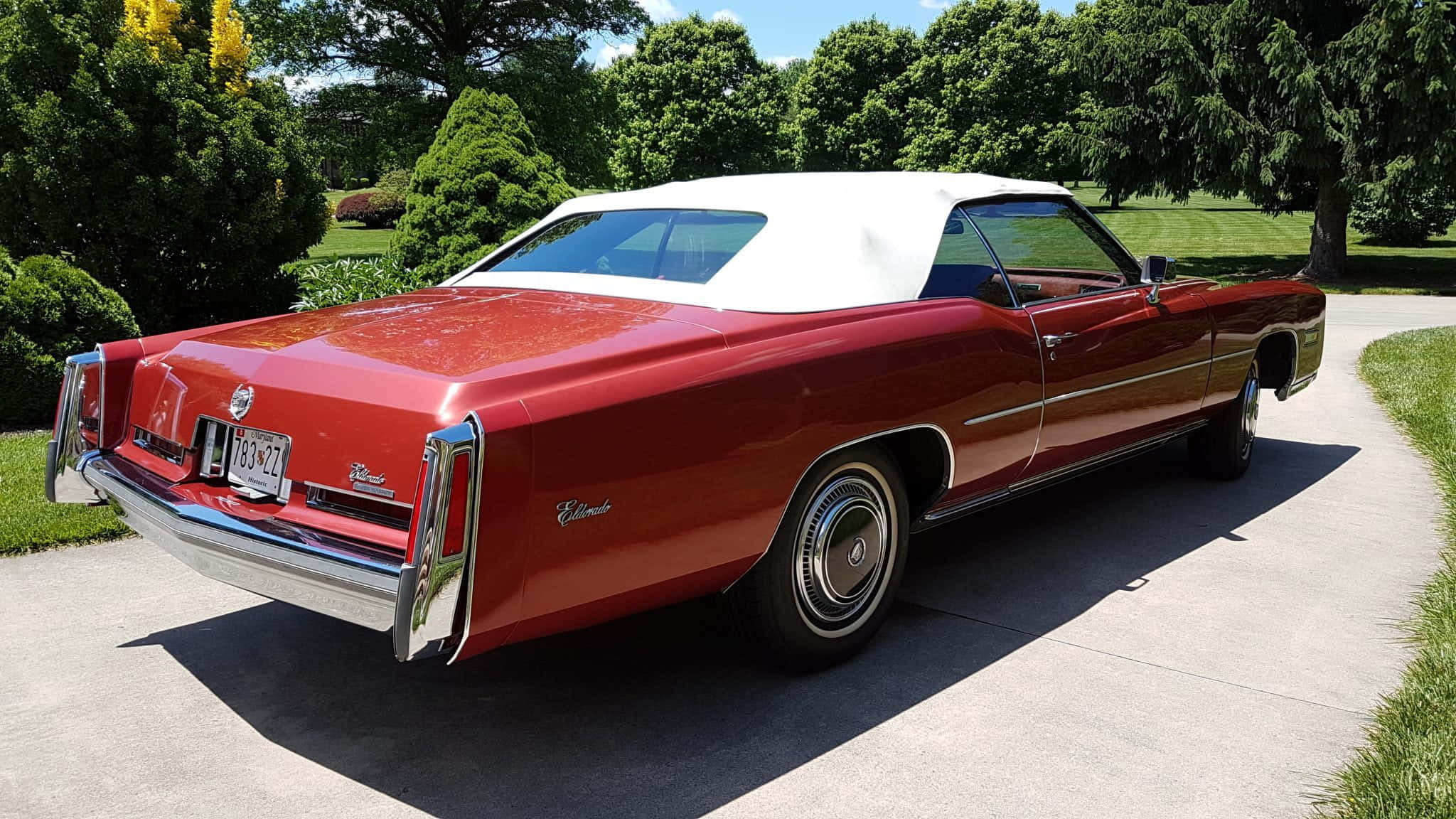 Cadillac Eldorado 桌布 壁紙 — 一輛光澤的紅色經典凱迪拉克埃爾多拉多敞篷車，白色車頂，停在混凝土車道上，周圍環繞著茂密的綠色樹木和草地，在明亮的陽光下。