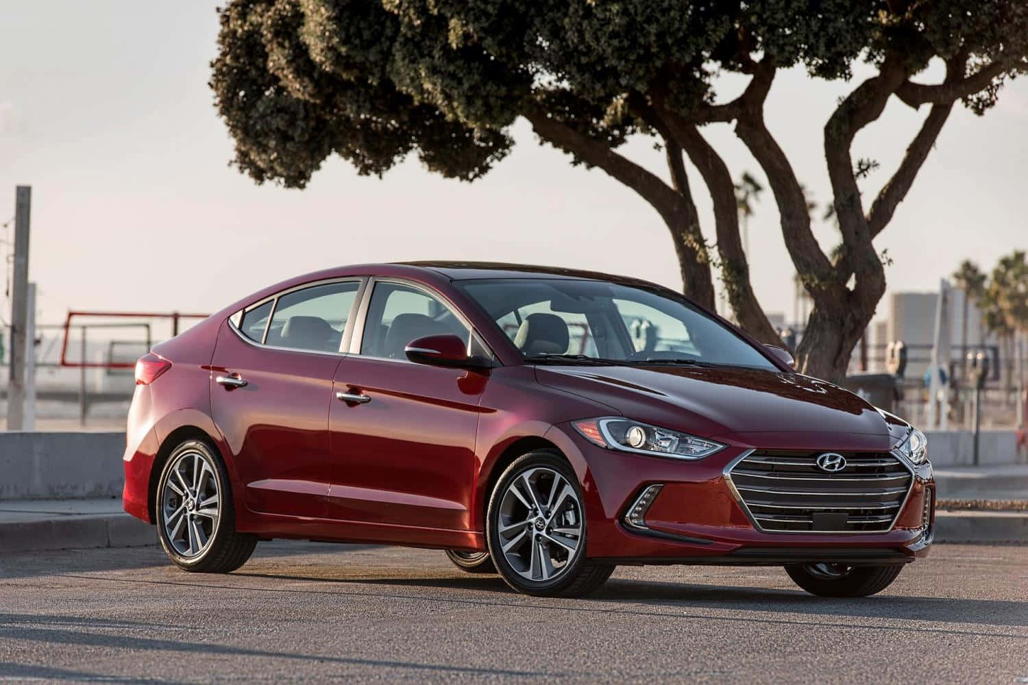 Hyundai Elantra 桌布 壁紙 — 一輛光澤的紅色現代伊蘭特轎車停在瀝青路上，上方是枝葉茂密的樹木，伴隨著柔和的金色時刻光線。