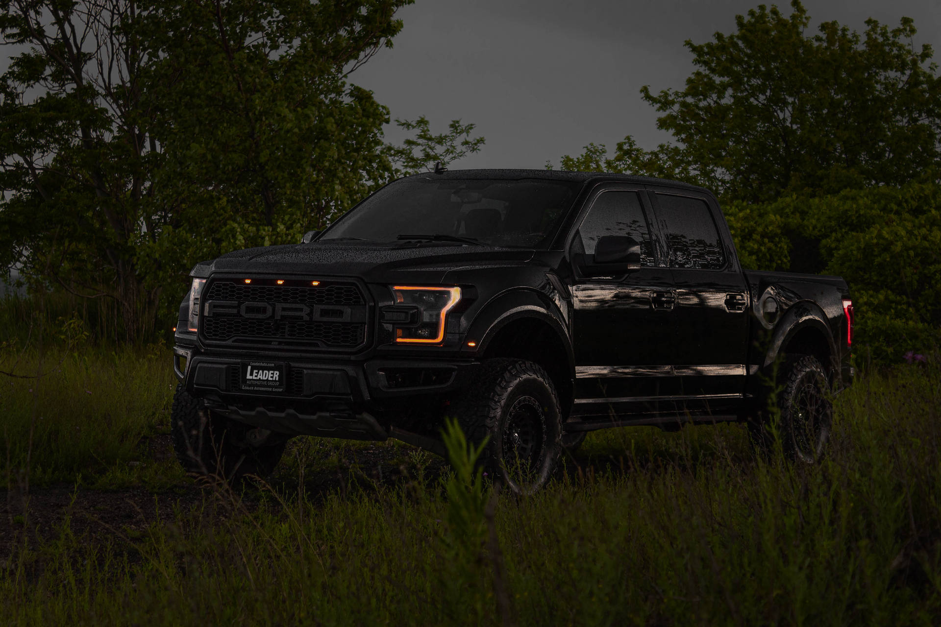 黑色福特 F-150 Raptor 在黃昏時停在高高的草叢中，頭燈發光。 — 福特猛禽 壁紙