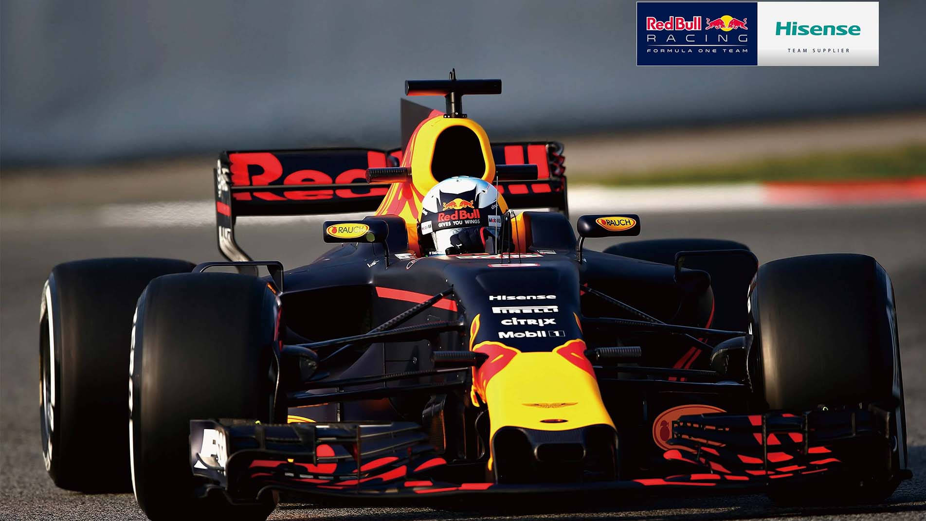 紅牛車隊一級方程式賽車在賽道上與車手 — F1 壁紙