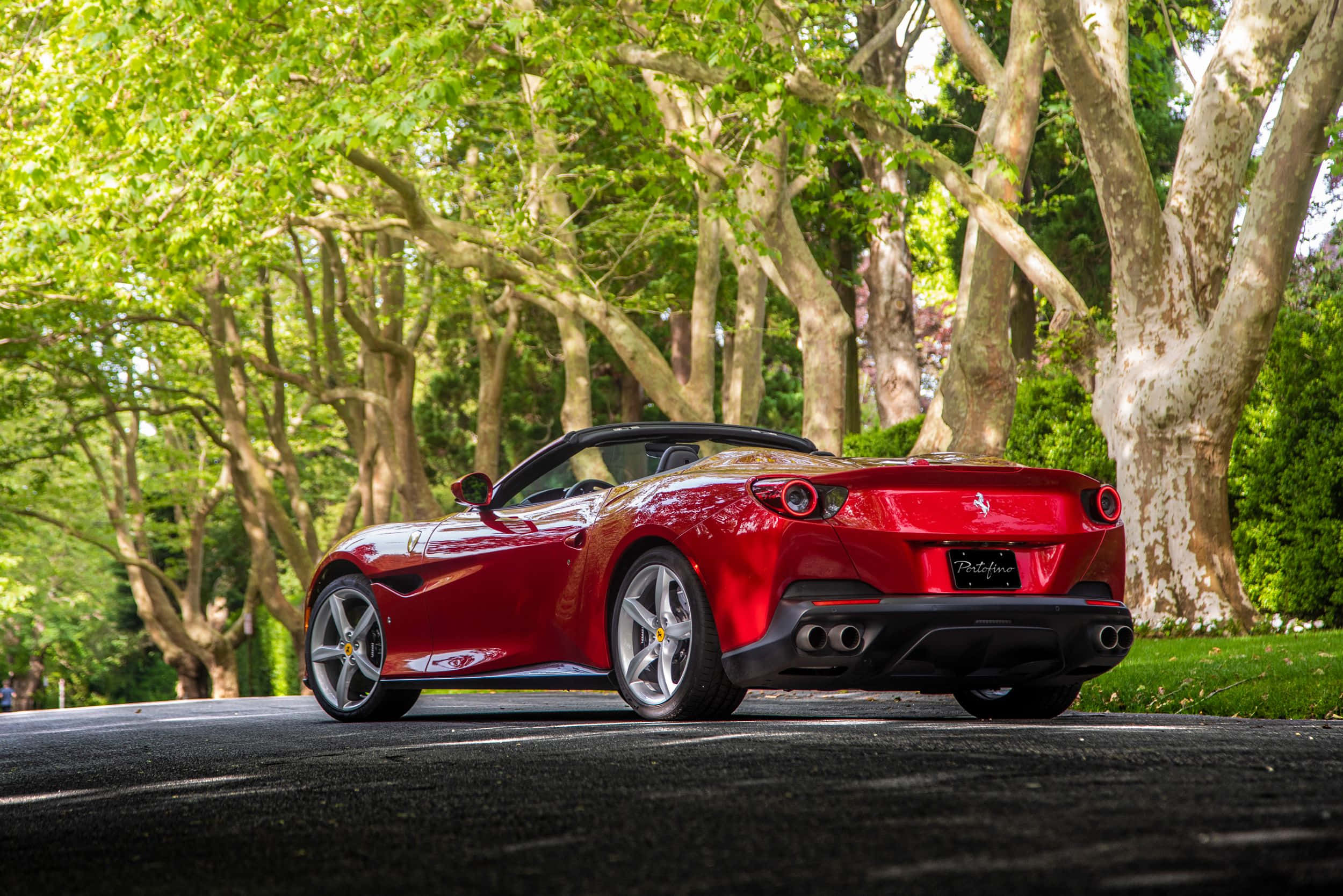 Ferrari Portofino 桌布 壁紙 — 一輛亮紅色法拉利Portofino敞篷車停泊在林蔭大道上，上方是明亮的綠色樹冠。