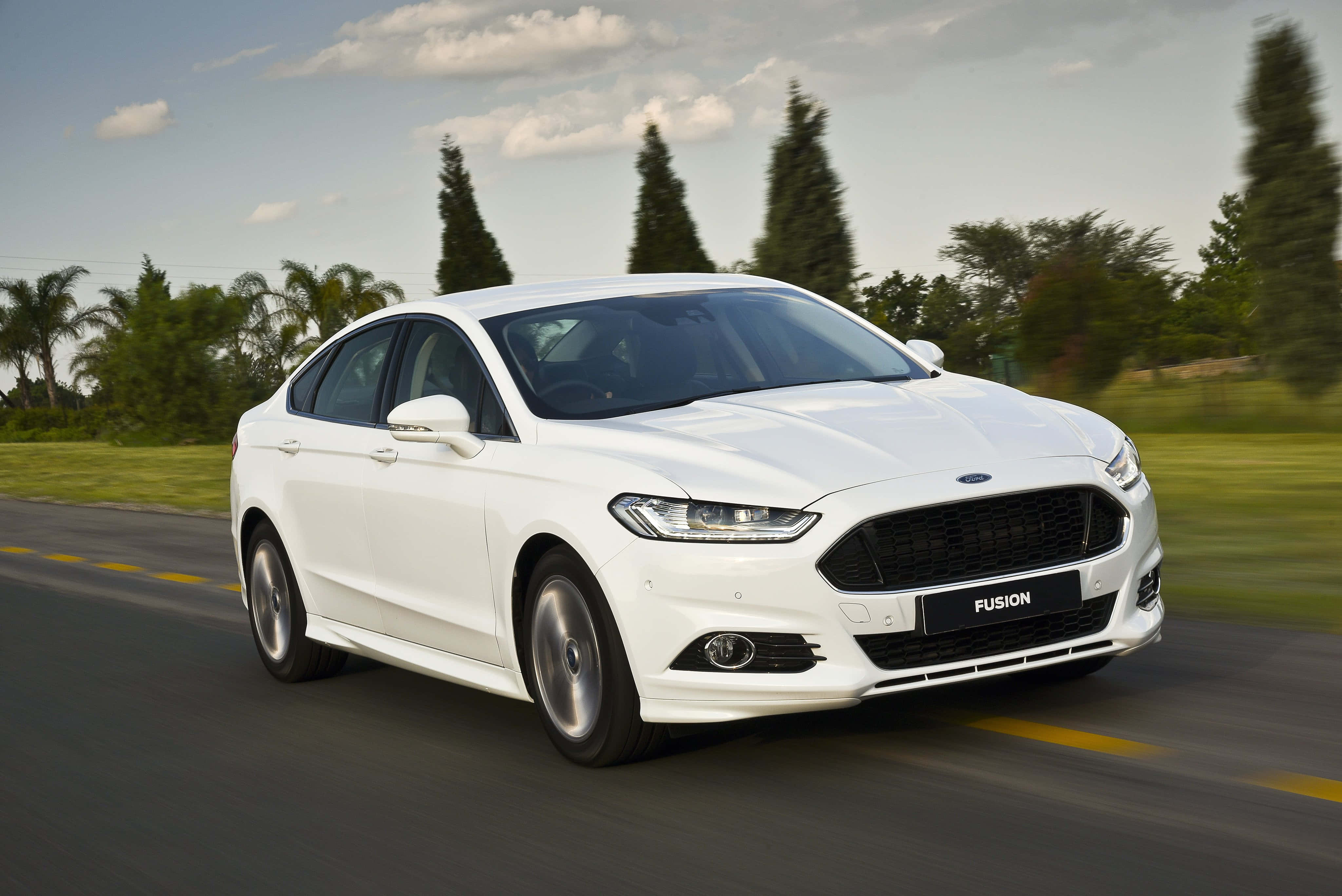 Ford Fusion 桌布 壁紙 — 一輛流線型白色福特Fusion房車在陽光普照的道路上行駛，背景有模糊的綠化和高大的樹木。