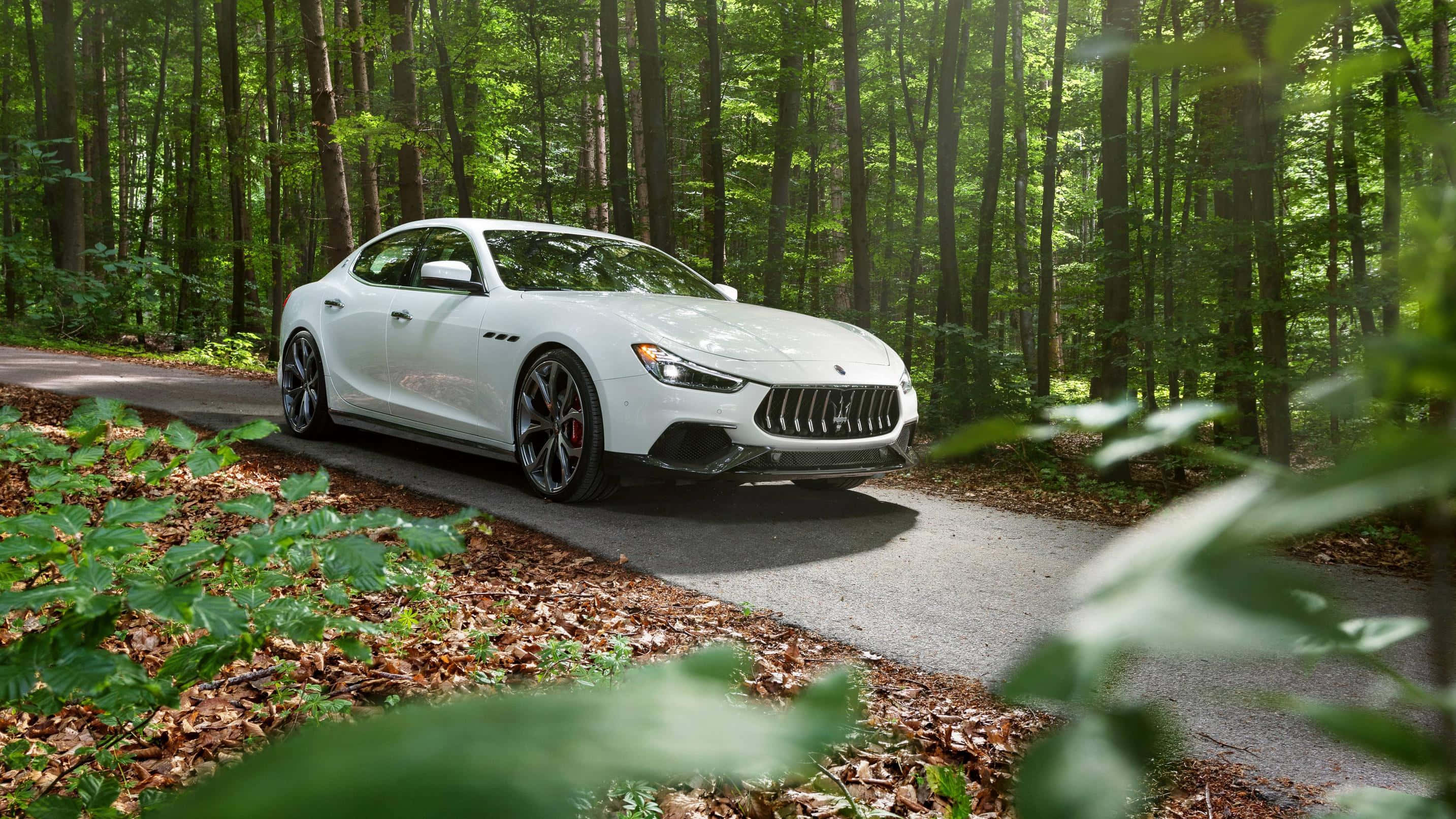 Maserati Ghibli 桌布 壁紙 — 一輛流線型白色瑪莎拉蒂跑車沿著蜿蜒的林間道路行駛，兩旁是茂密的綠樹和斑駁的陽光。