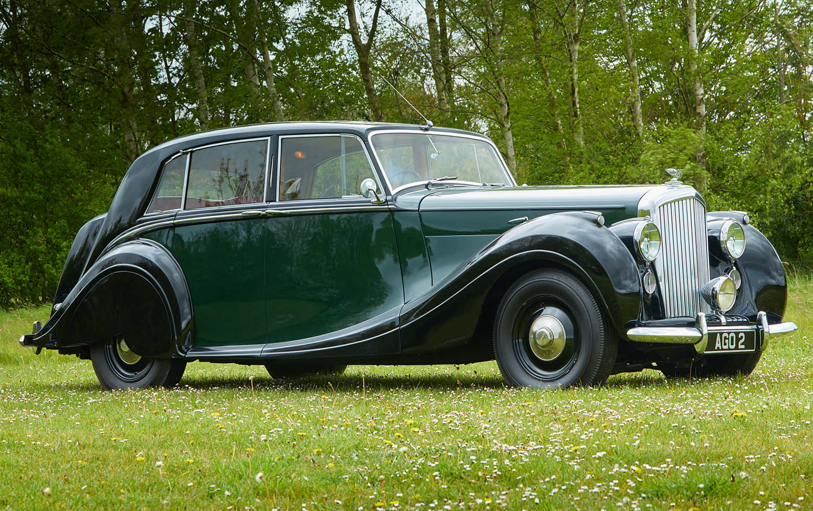 Bentley Mark Vi 桌布 壁紙 — 一輛時尚的復古綠色賓利轎車在日光下閃耀，停在點綴著野花的草地上，背景是茂密的綠樹。