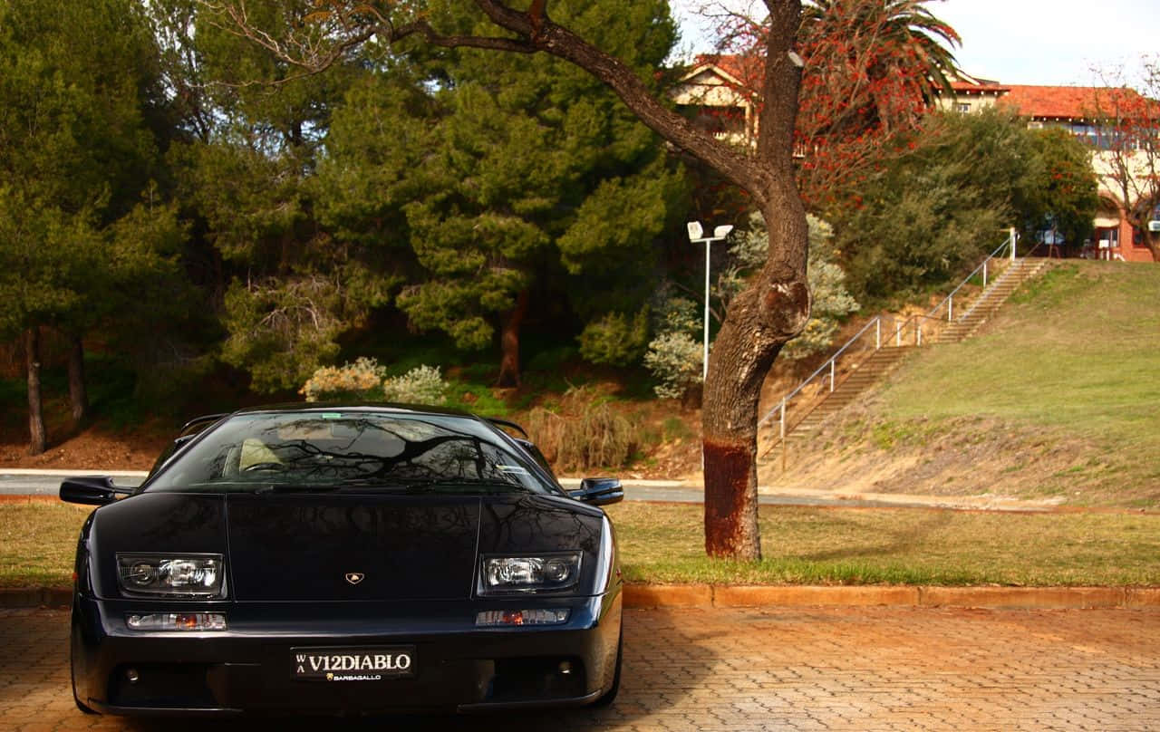 Lamborghini Diablo 桌布 壁紙 — 一輛時尚的黑色藍寶堅尼 Diablo 停放在磚砌車道上，旁邊有一棵秋葉樹，背景是草地山坡。