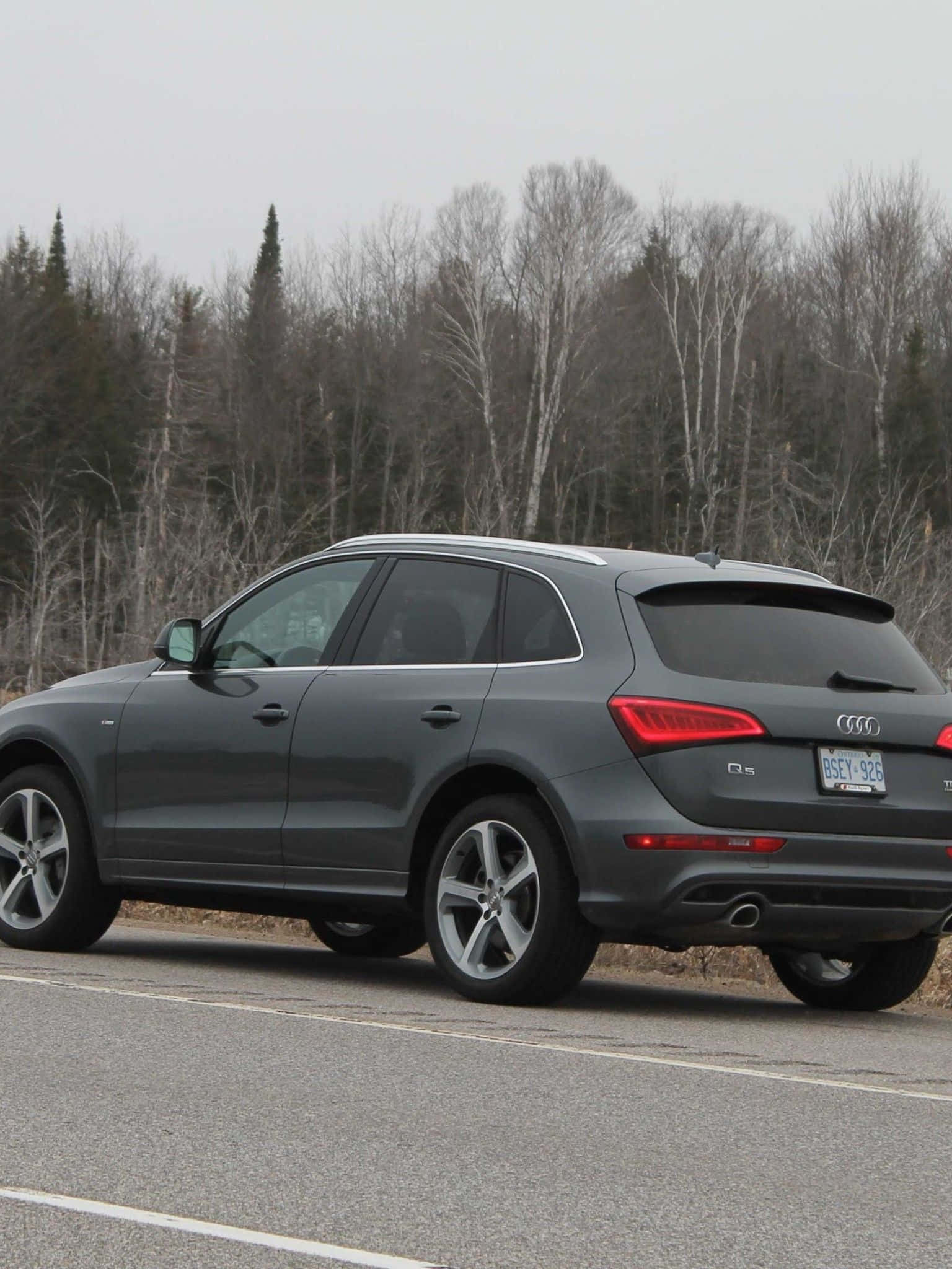 Audi Q5 桌布 壁紙 — 一輛時尚的灰色奧迪Q5 SUV停在瀝青路上，背景是光禿的樹木和陰天。