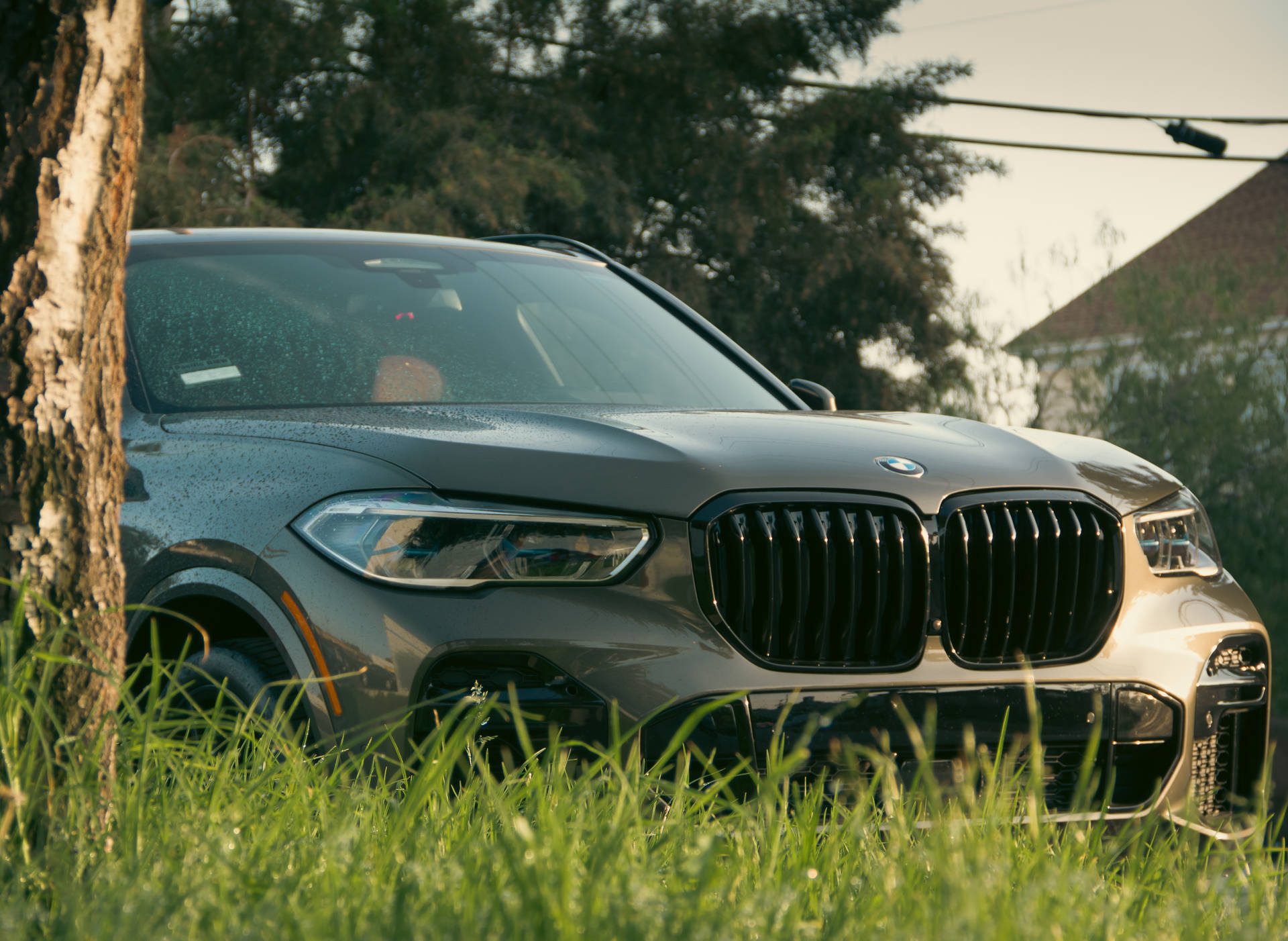 日落時灰色BMW SUV停泊在樹旁的草地上 — 4K 超高清 壁紙