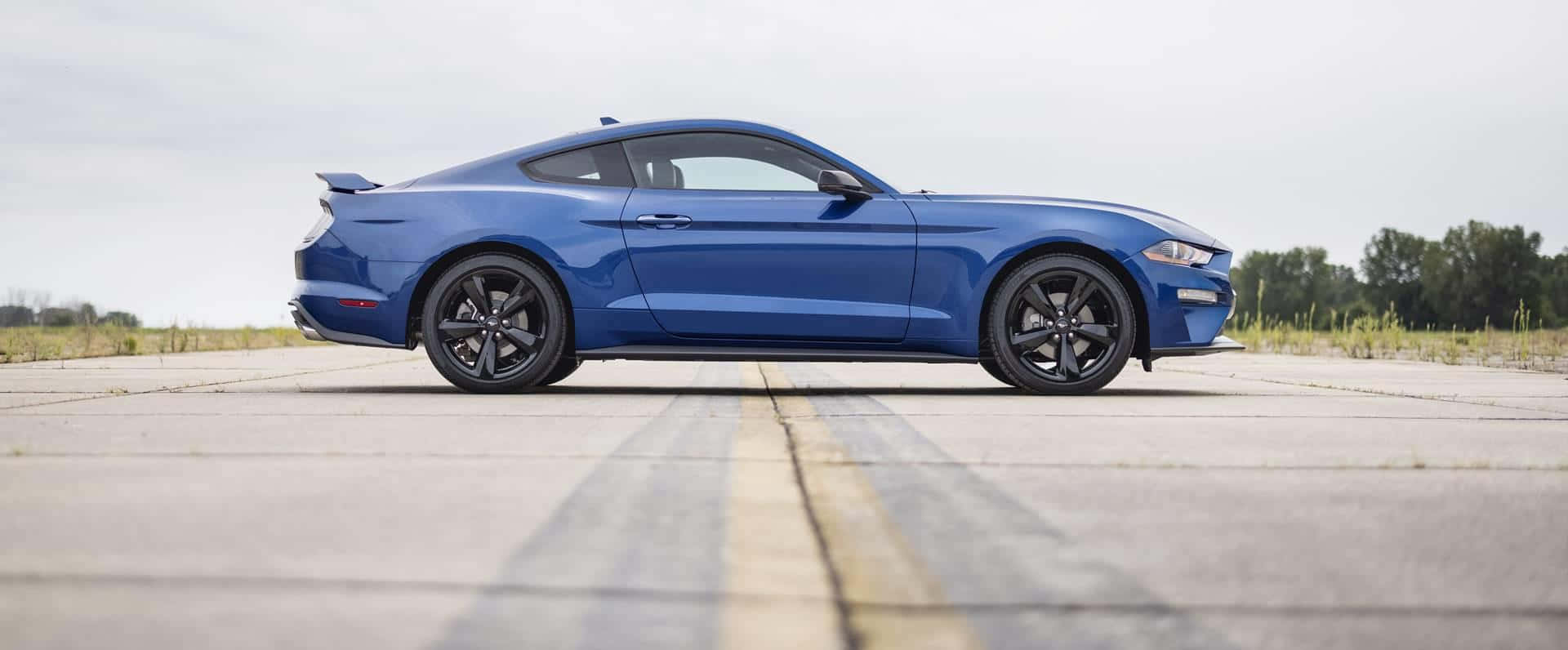 Ford Mustang California Special 桌布 壁紙 — 一輛時尚的藍色福特野馬轎跑車停在鋪砌的道路上，背景有樹木，天空多雲。