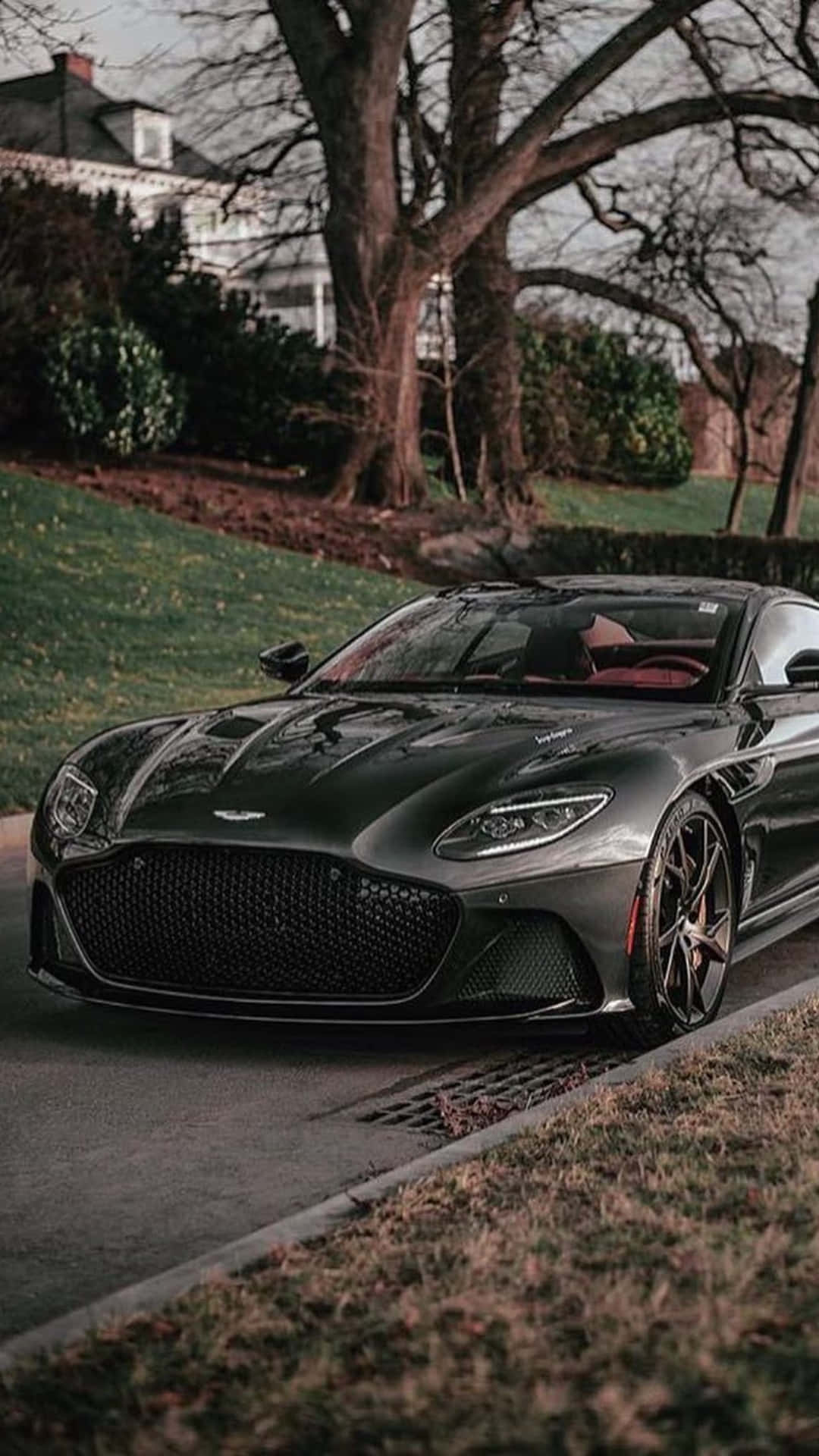Aston Martin Dbs Superleggera 桌布 壁紙 — 一輛時尚的啞光黑色阿斯頓馬丁跑車停放在車道上，旁邊是光禿禿的樹木和修剪整齊的草坪。