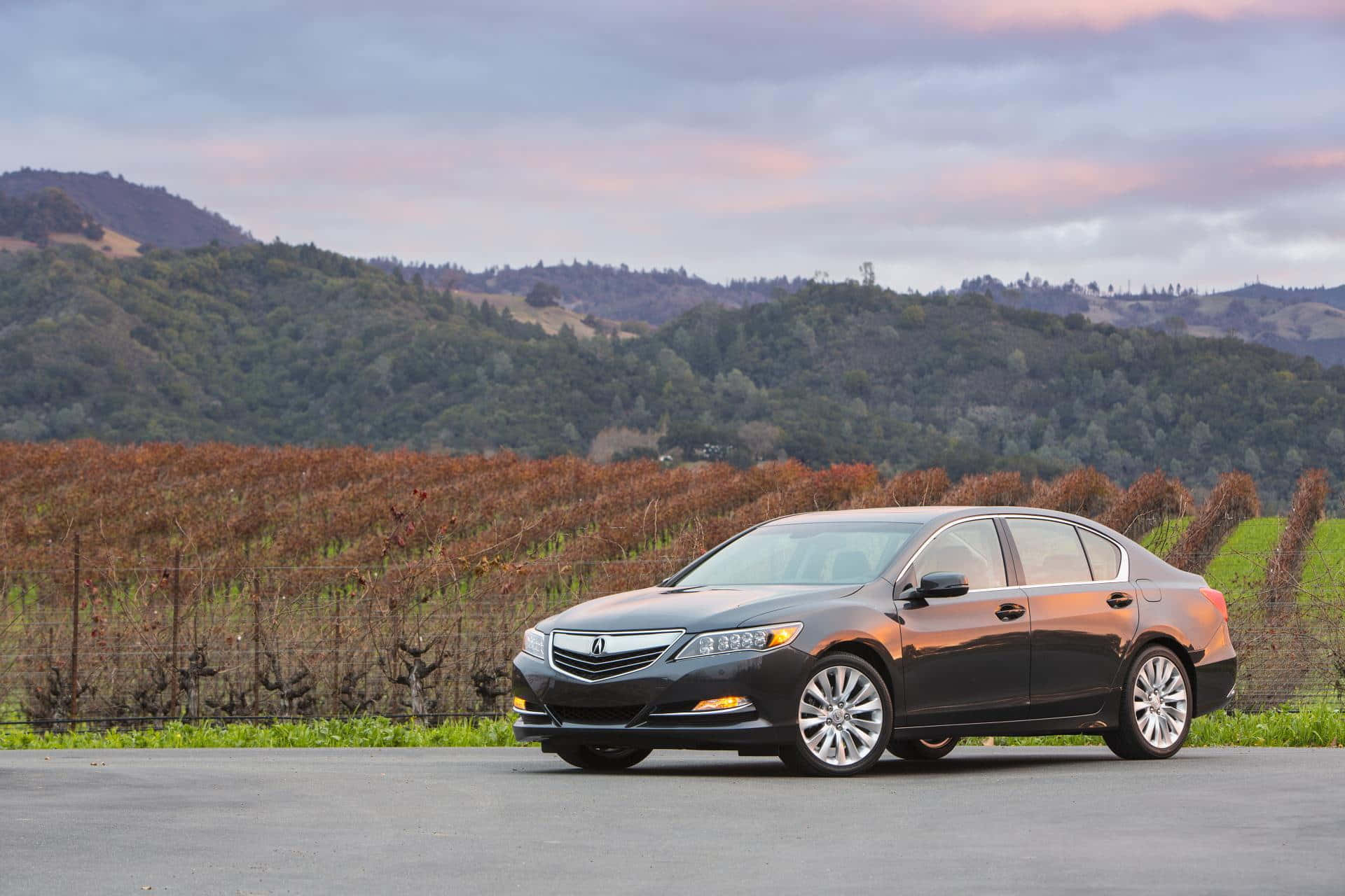 Acura Rlx 桌布 壁紙 — 一輛時尚黑色轎車停泊在鋪砌道路上，前方是一排排休眠的葡萄藤和起伏的綠色山丘，在柔和的暮色天空下。