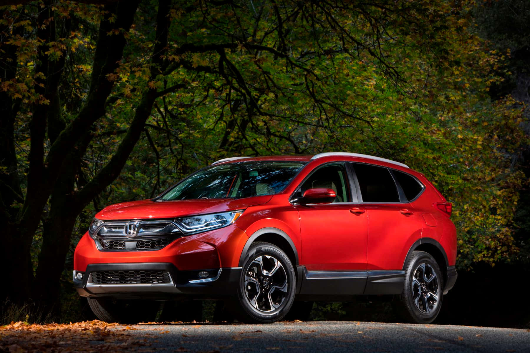 Honda Cr-v 桌布 壁紙 — 一輛鮮紅色的本田CR-V SUV停放在森林道路上，周圍是金黃葉子的秋樹。