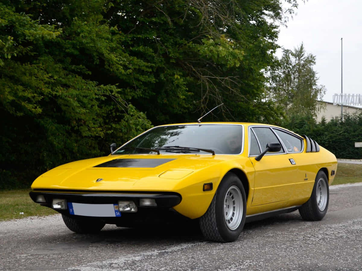 Lamborghini Urraco 桌布 壁紙 — 一輛鮮黃色的藍寶堅尼Countach停泊在碎石路上，周圍是茂密的綠樹。
