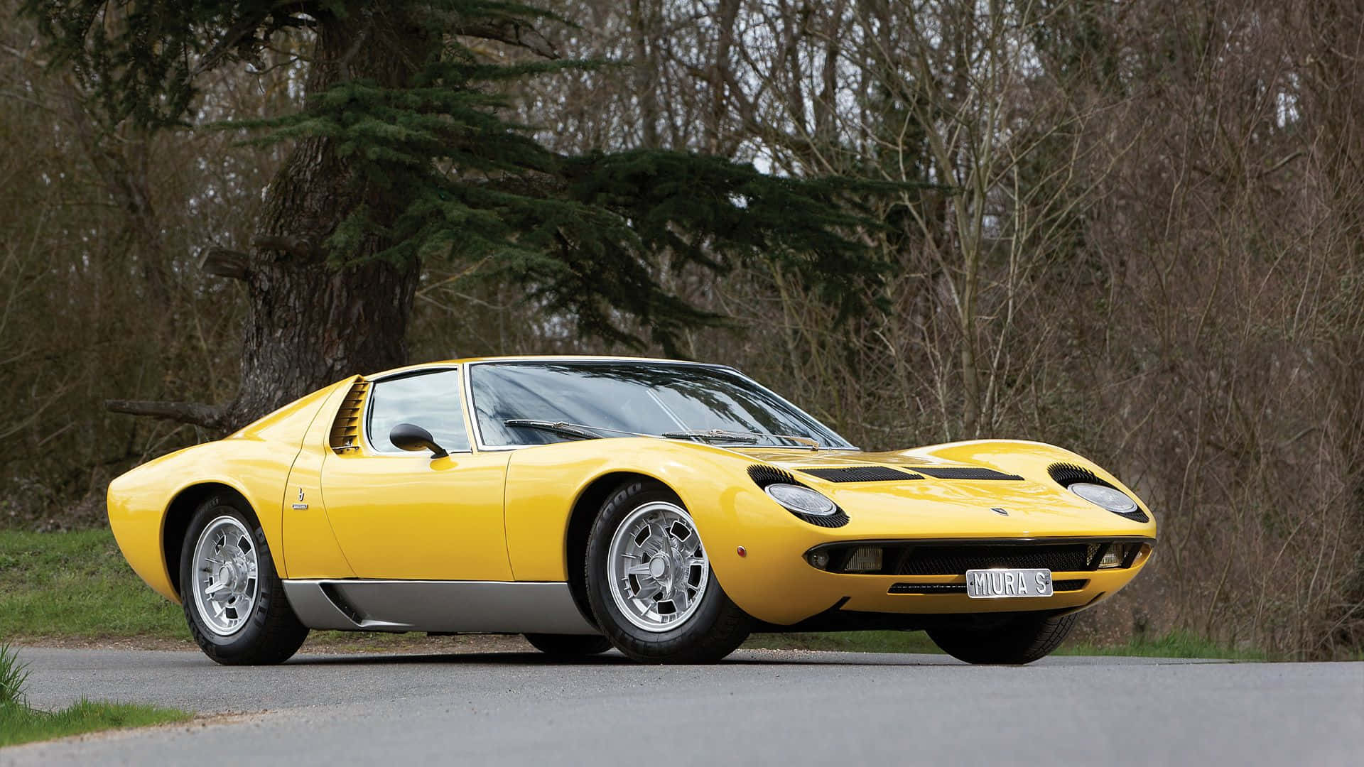 Lamborghini Miura 桌布 壁紙 — 一輛鮮黃色的藍寶堅尼Miura跑車停放在路邊，旁邊是落葉樹和常綠樹。