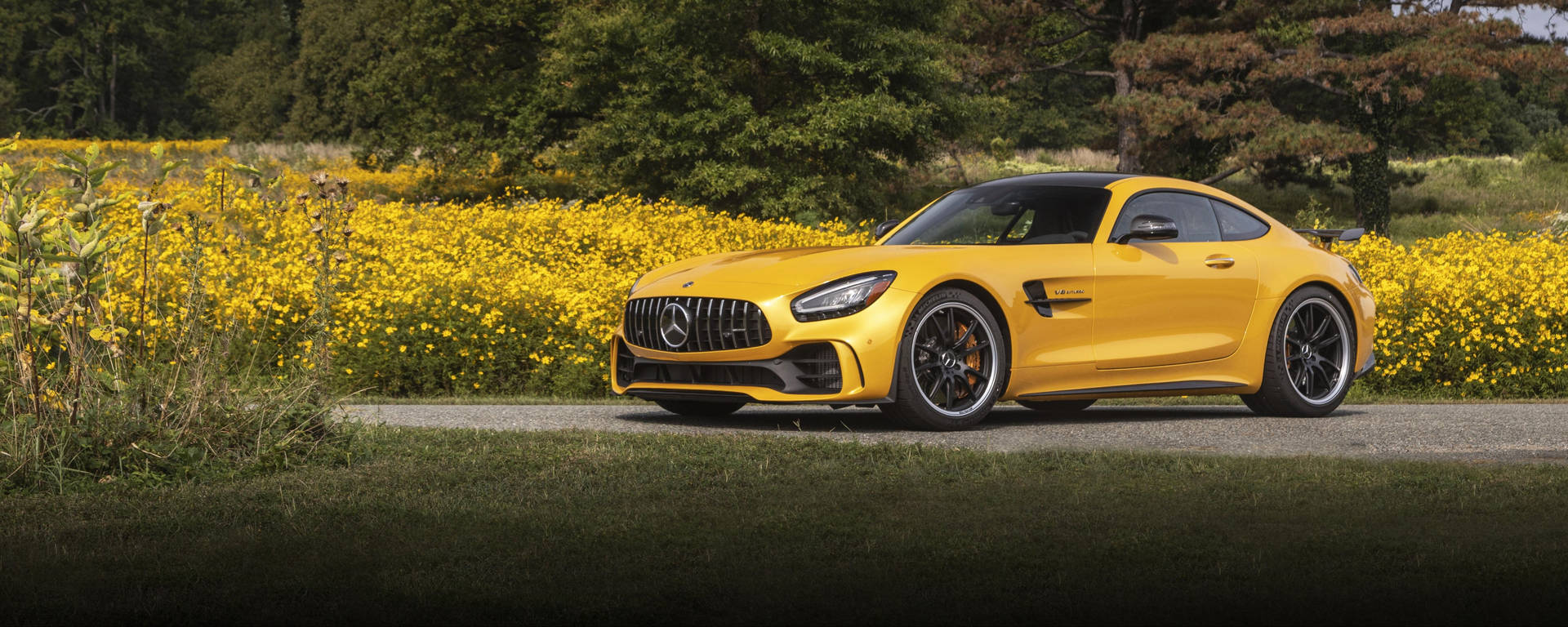 陽光明媚的日子裡，黃色 Mercedes-AMG GT R 停泊在黃色花田旁。 — Amg Gt R 壁紙