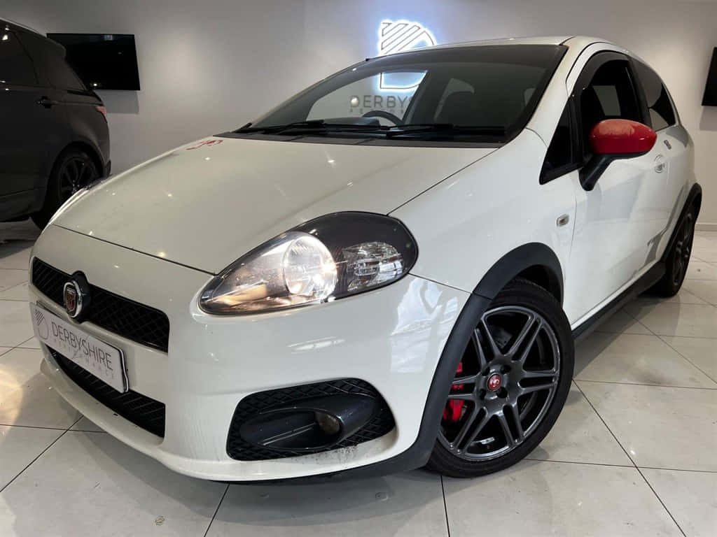 Fiat Punto 桌布 壁紙 — 一輛純白色的菲亞特Punto Evo，帶有黑色飾條和紅色煞車卡鉗，在展示間燈光下閃閃發光。