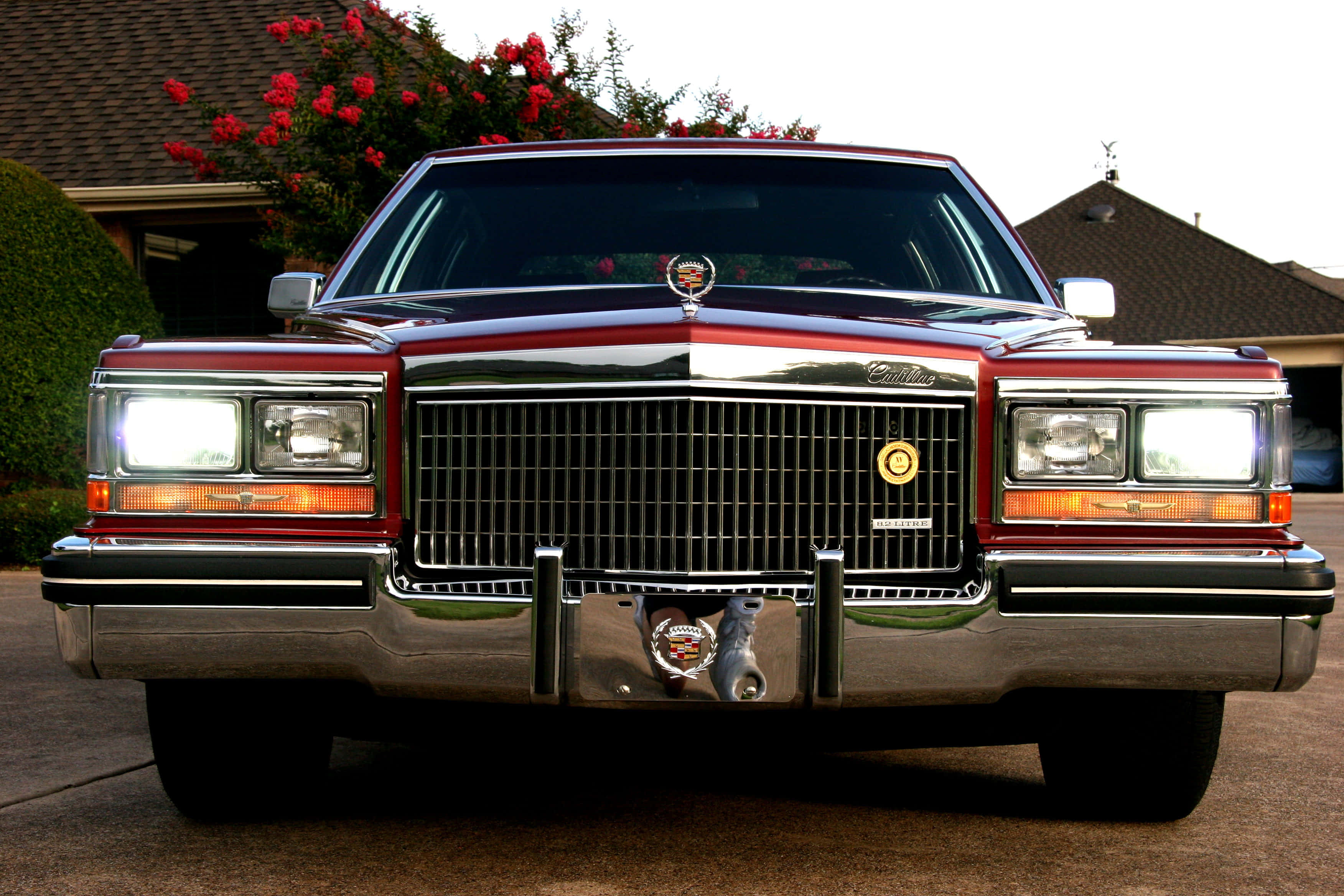 Cadillac Fleetwood 桌布 壁紙 — 一輛光澤的紅色經典凱迪拉克轎車，帶有鍍鉻格柵和車頭燈，在盛開紅花的郊區住宅前閃閃發光。