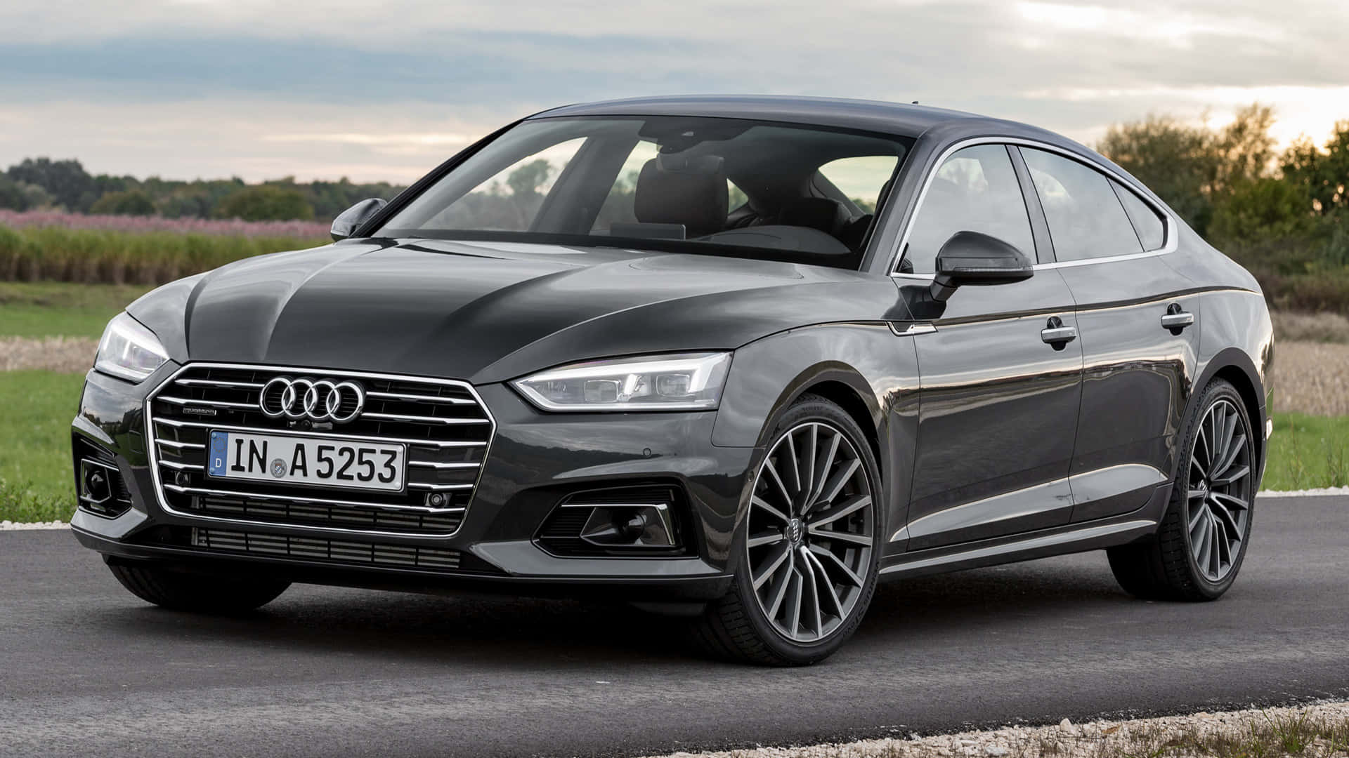 Audi A5 桌布 壁紙 — 一輛時尚的黑色奧迪轎車在柔和日光下停在柏油路上，旁邊是長滿紫色花朵的草地。