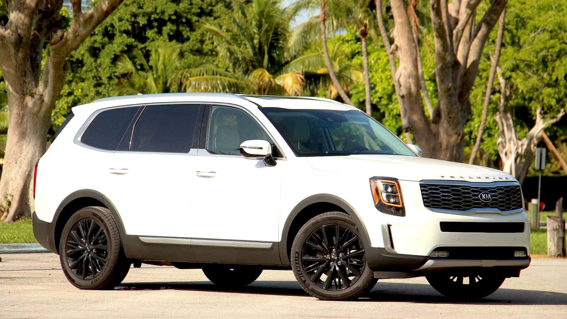 Kia Telluride 桌布 壁紙 — 一輛純白色的Kia Telluride SUV配備黑色輪圈，停泊在陽光普照、兩旁種滿茂密綠色棕櫚樹的街道上。