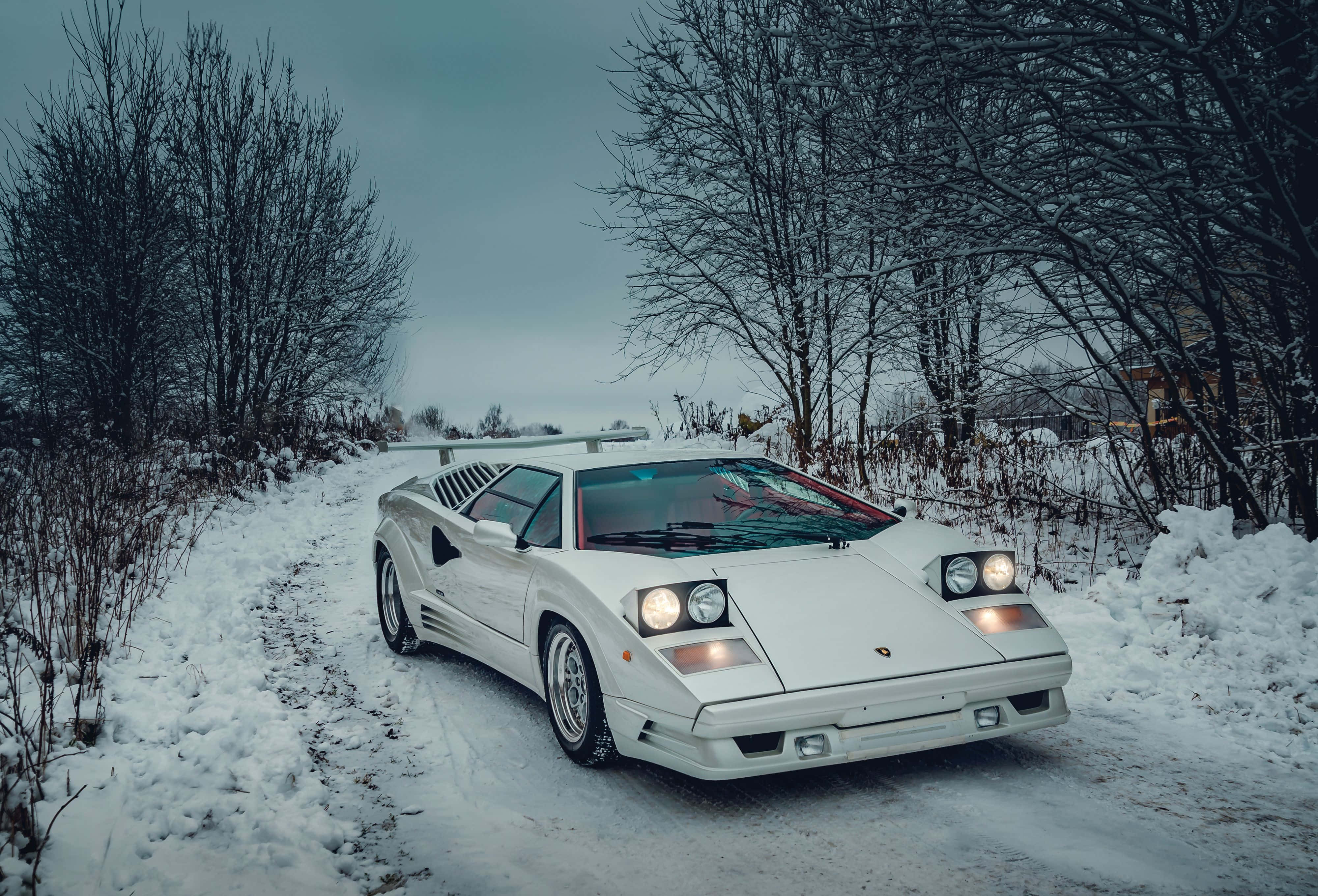 Lamborghini Countach 桌布 壁紙 — 一輛純白色的藍寶堅尼Countach在陰天之下閃閃發光，停泊在一條被光禿禿的冬季樹木環繞的積雪鄉村道路上。
