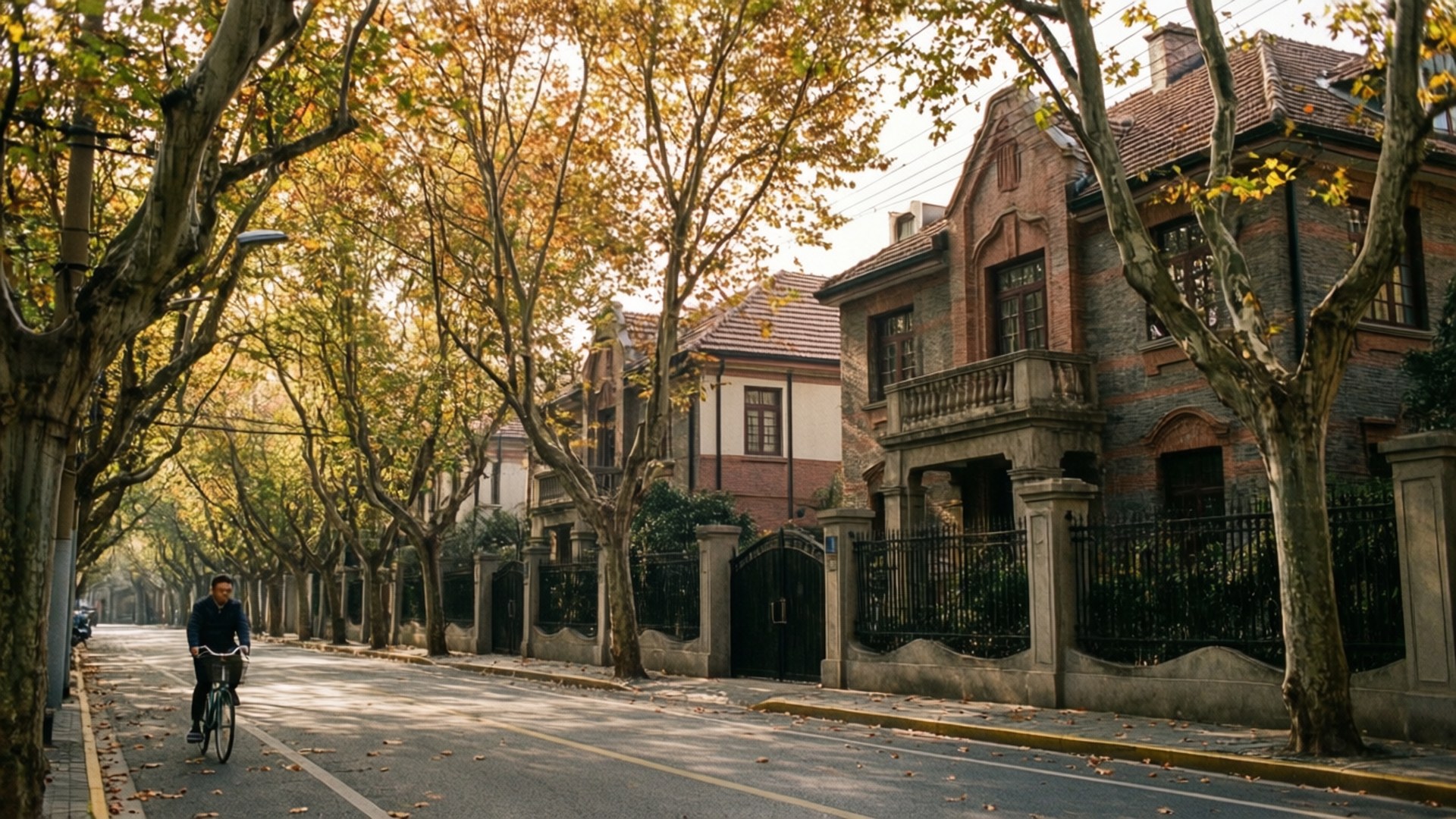 French Concession Autumn 壁紙 — 一名騎腳踏車的人在寧靜的綠樹成蔭的街道上踩著踏板，街道兩旁是優雅的磚砌豪宅，上方是金黃色的秋葉。