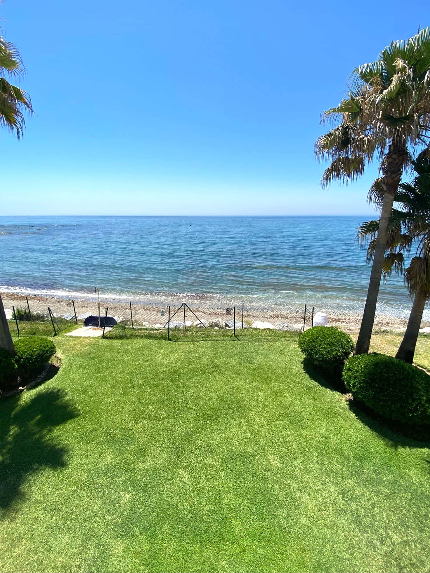 Beach Resort 桌布 壁紙 — 一片充滿活力的綠色草坪在棕櫚樹環繞的清澈藍天下，向平靜的碧綠海洋傾斜。