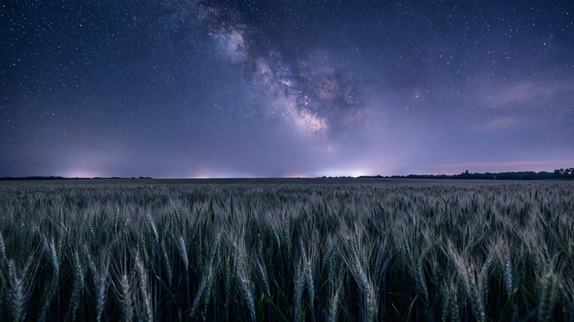 桌布 壁紙 — 一片廣闊的麥田在繁星夜空下延伸，銀河在上方發光。
